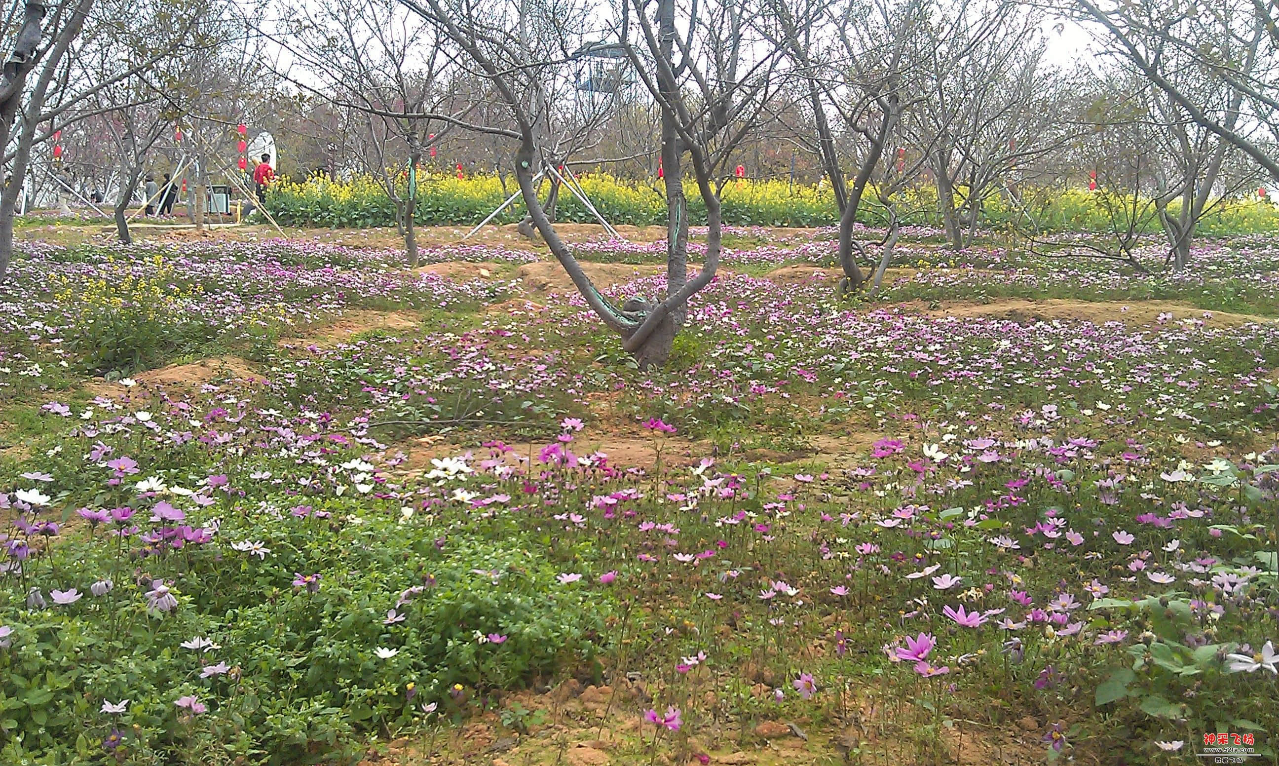 IMAG0095.jpg