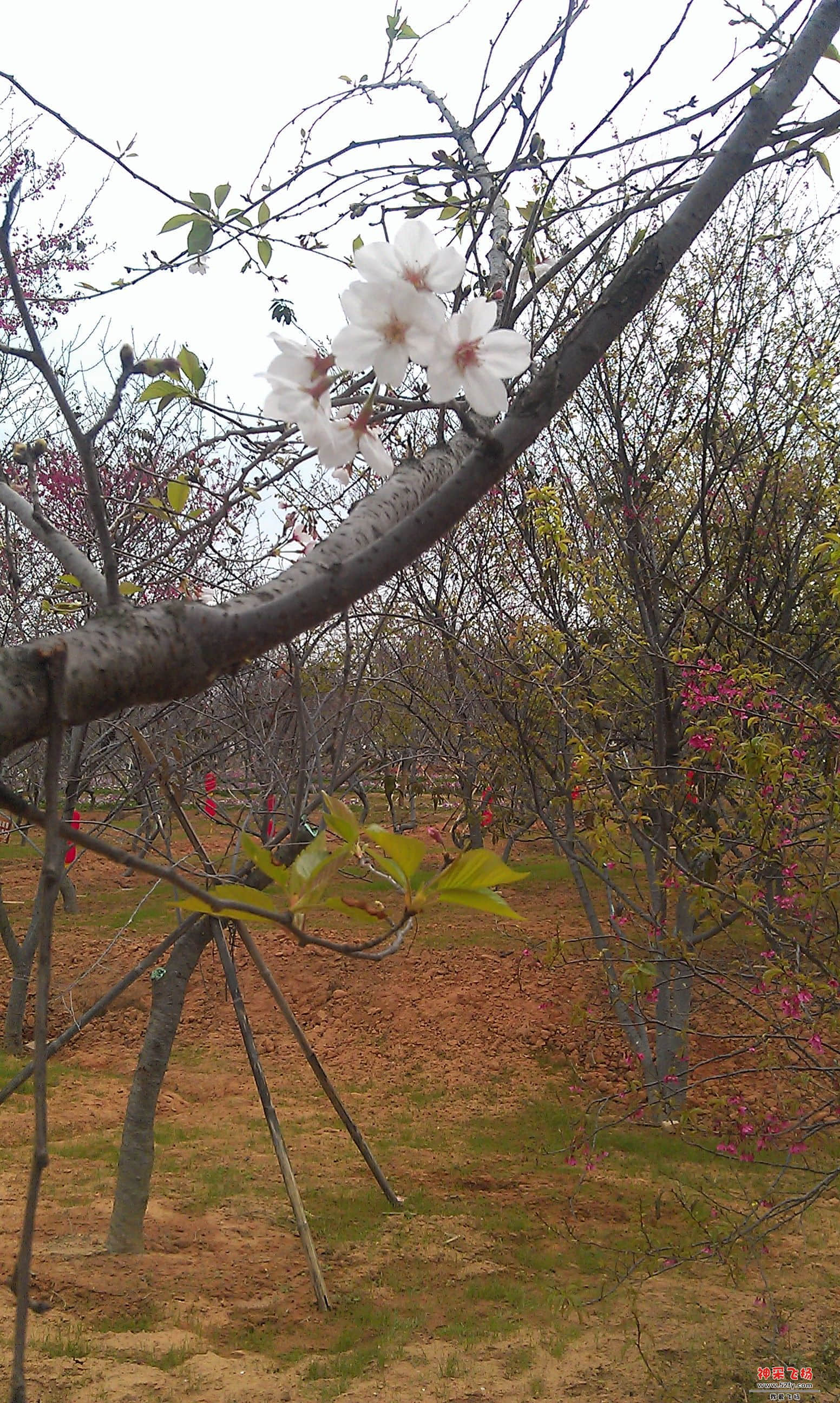 IMAG0097.jpg
