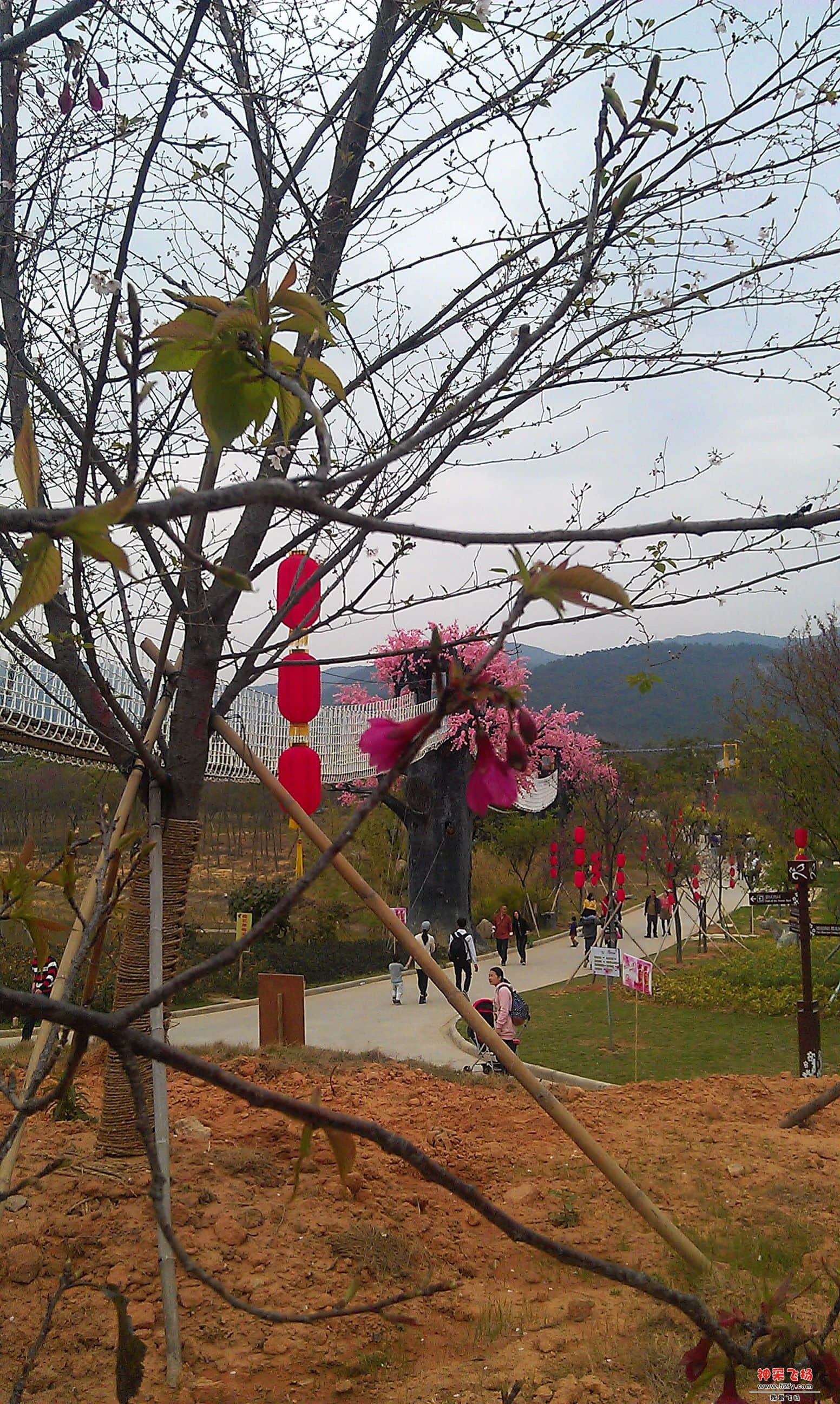 IMAG0098.jpg