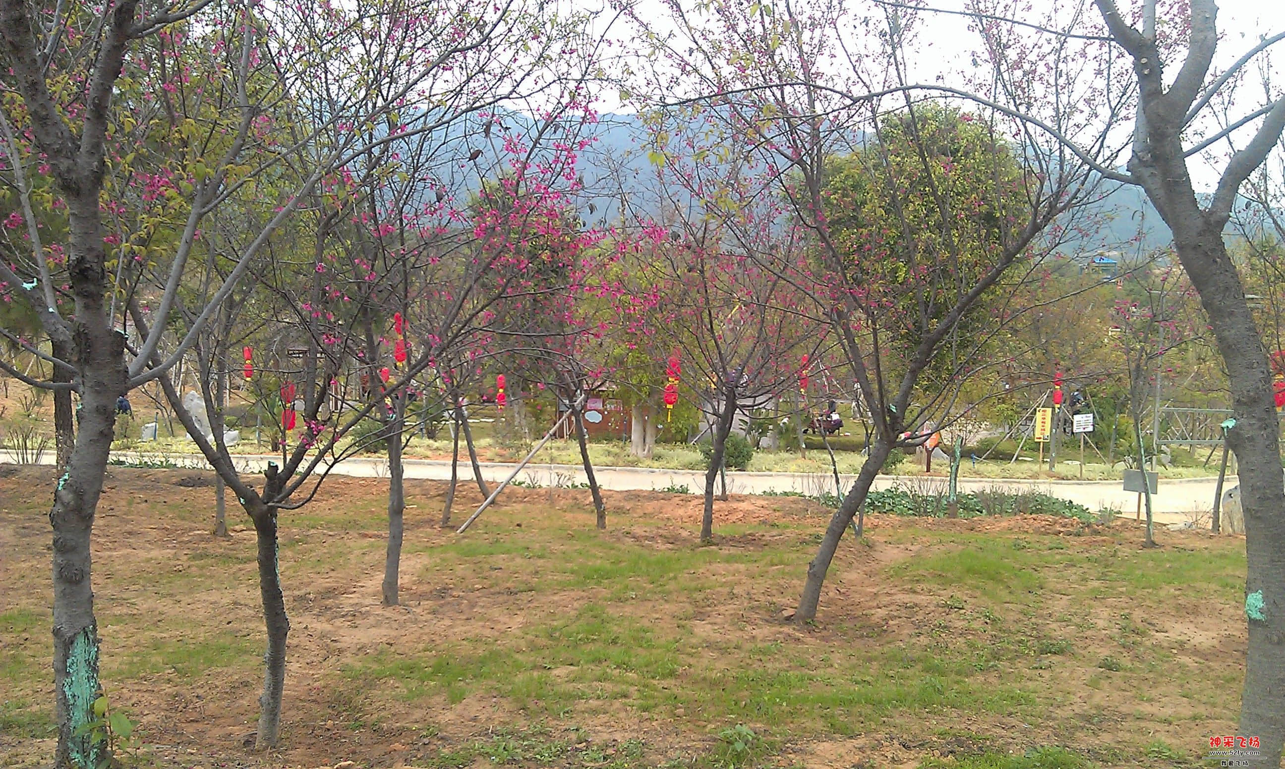 IMAG0101.jpg