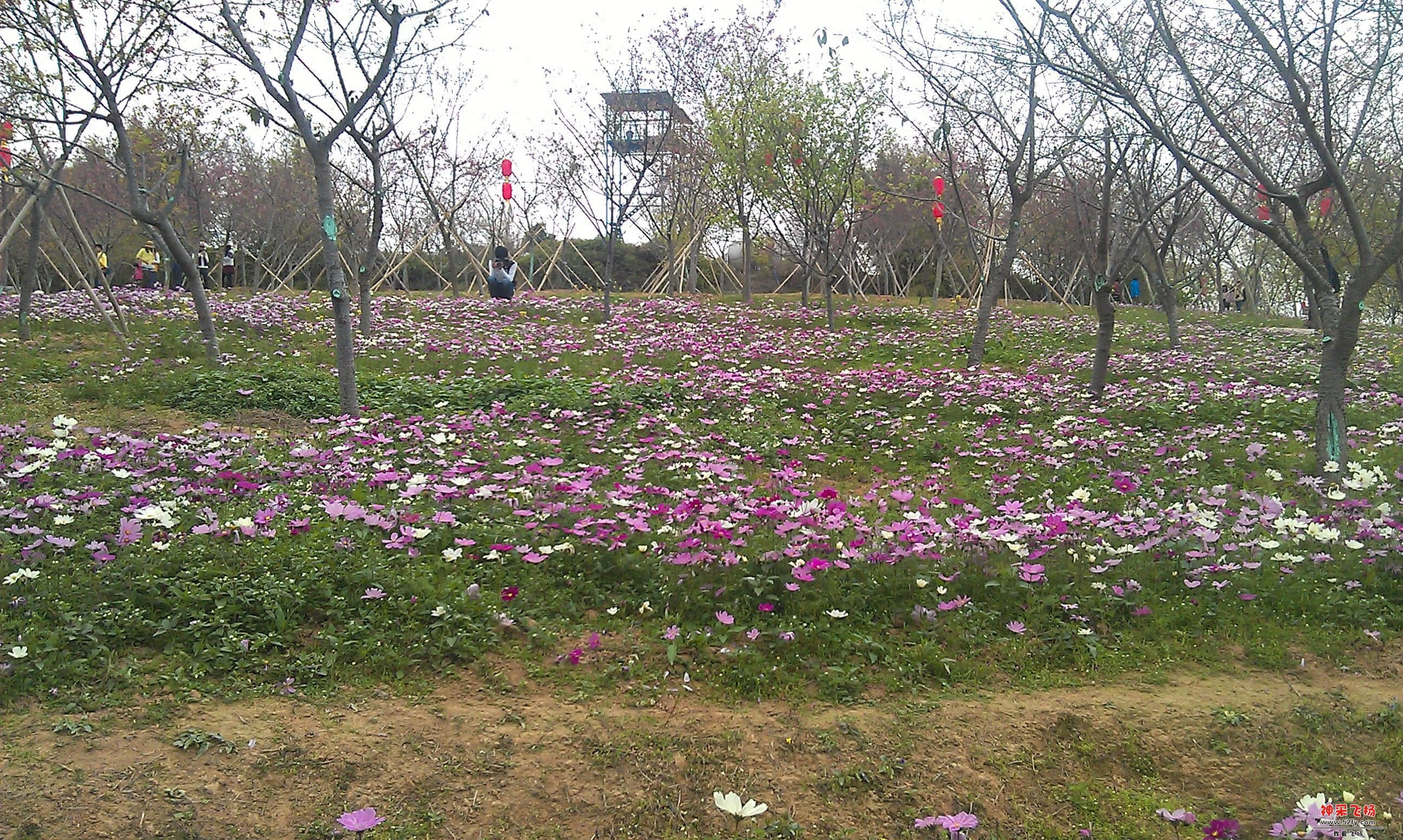 IMAG0102.jpg