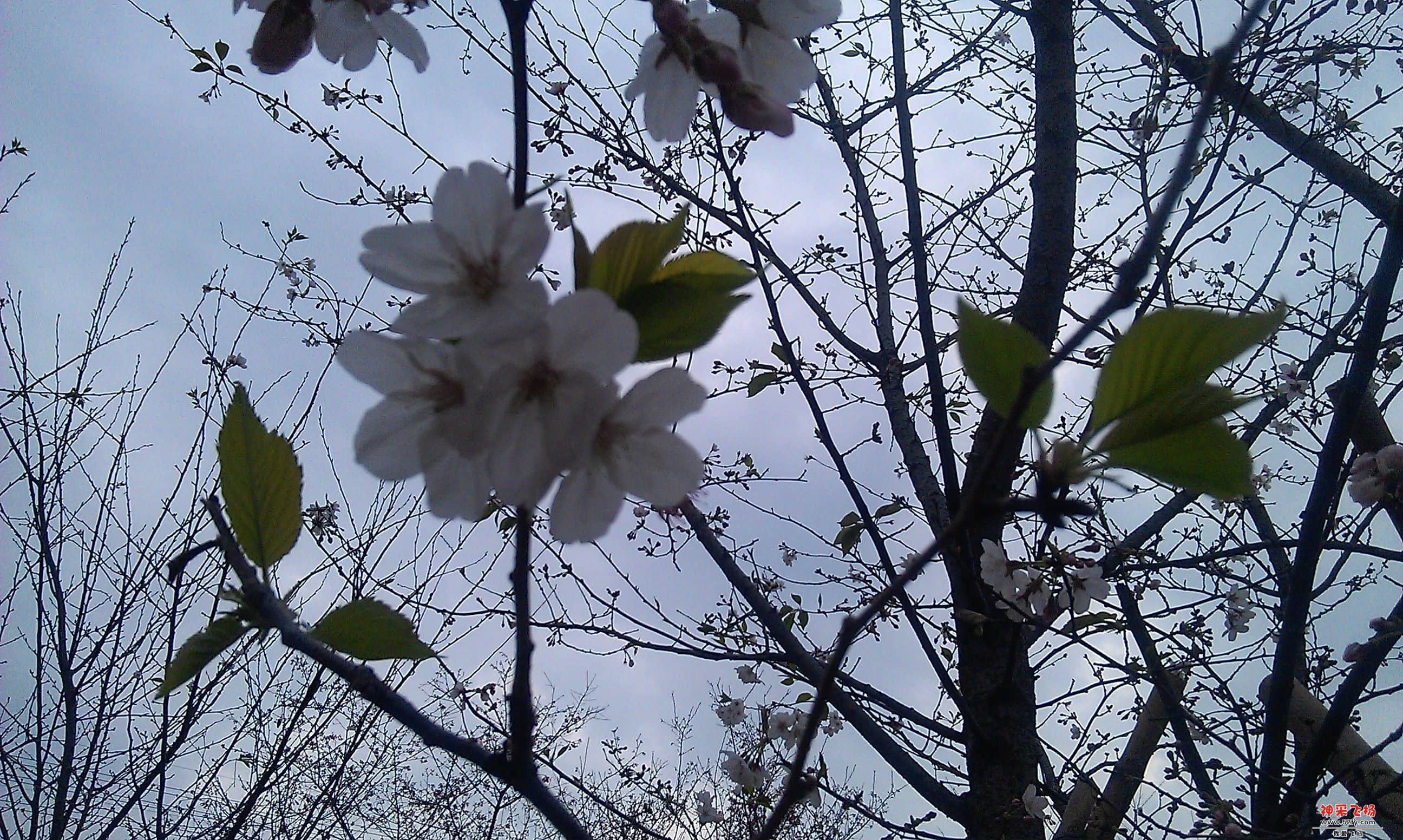 IMAG0105.jpg