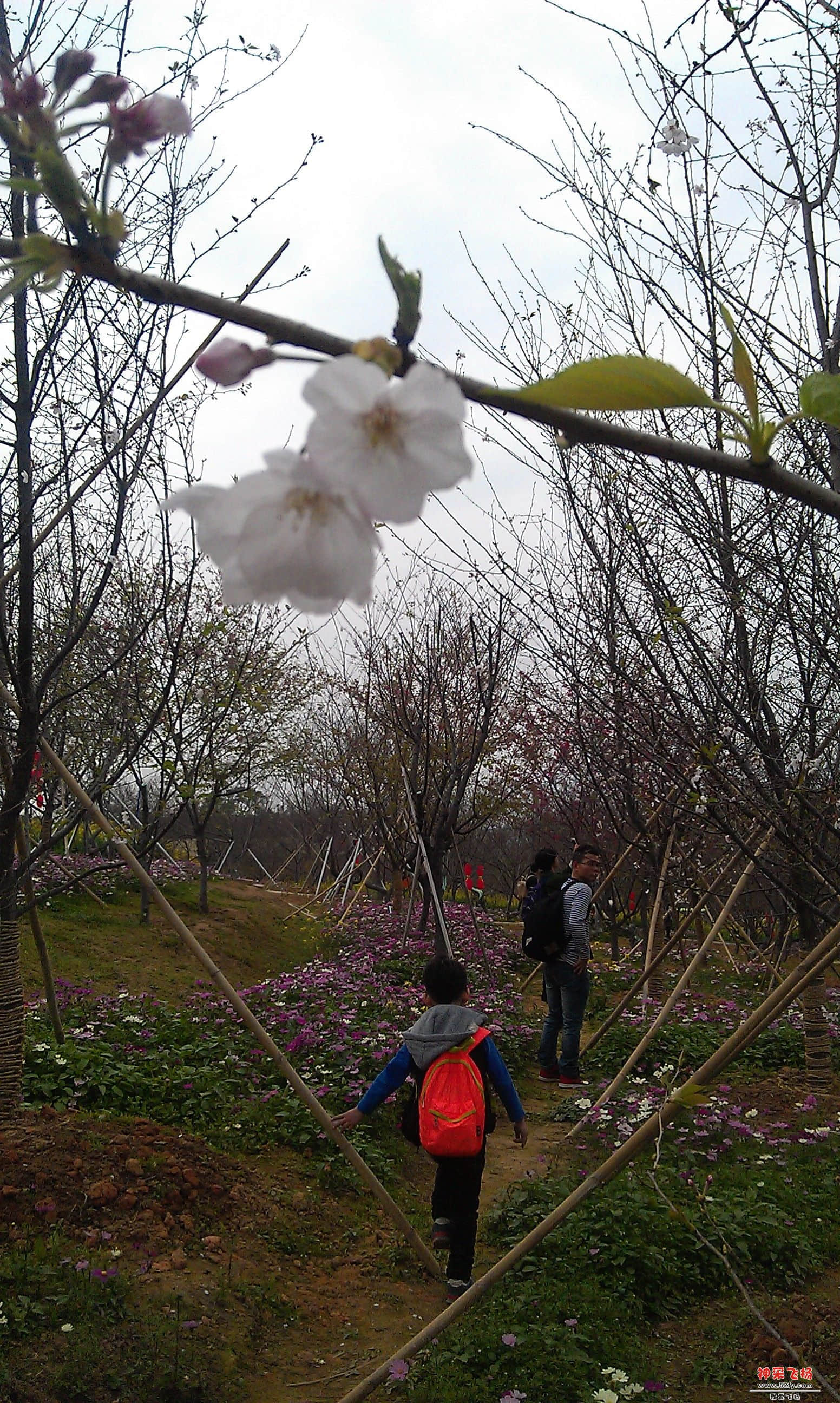 IMAG0106.jpg