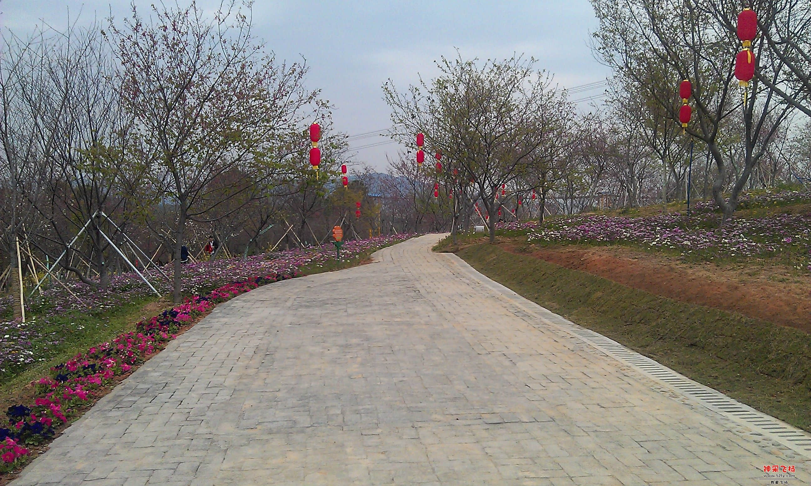 IMAG0107.jpg