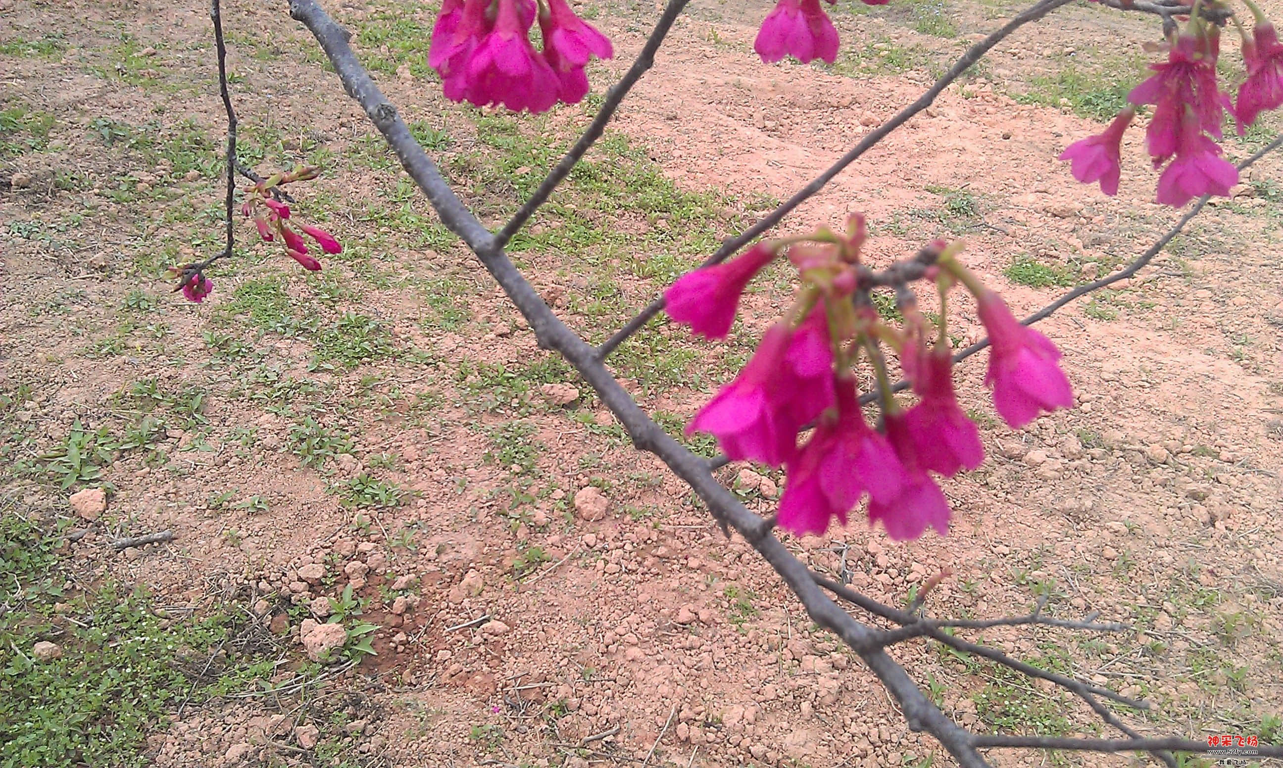 IMAG0110.jpg
