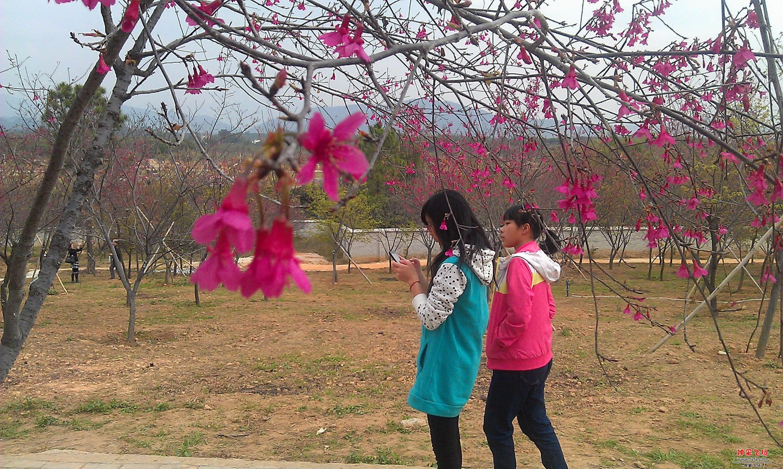 IMAG0111.jpg