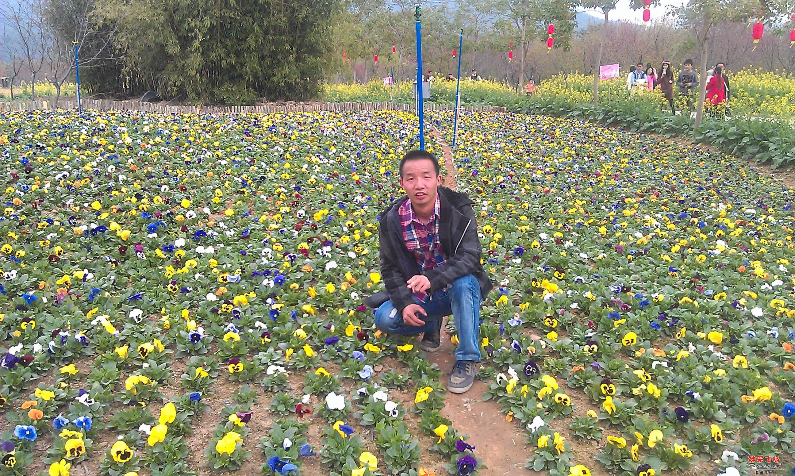 我在樱花公园3.jpg