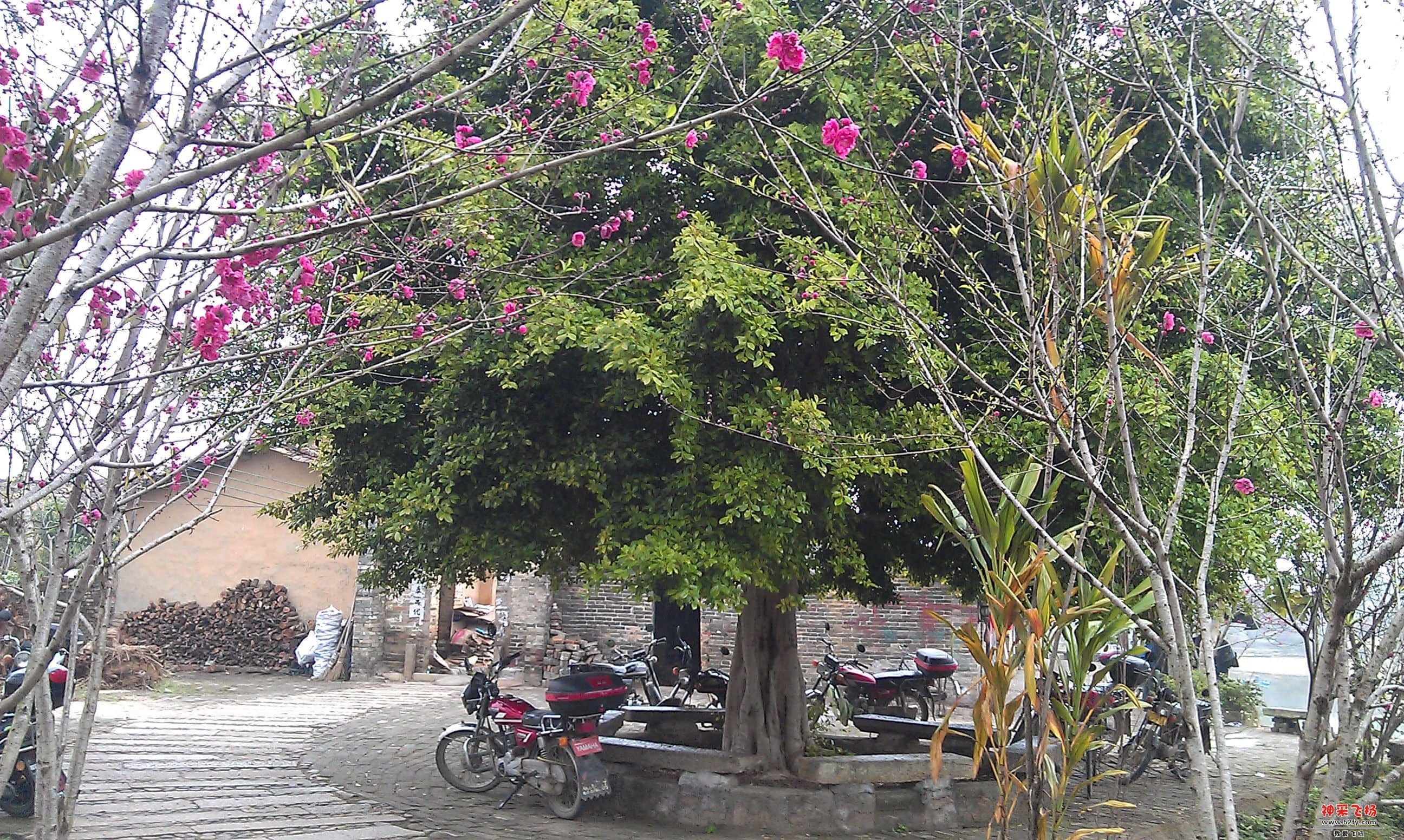 IMAG0024.jpg