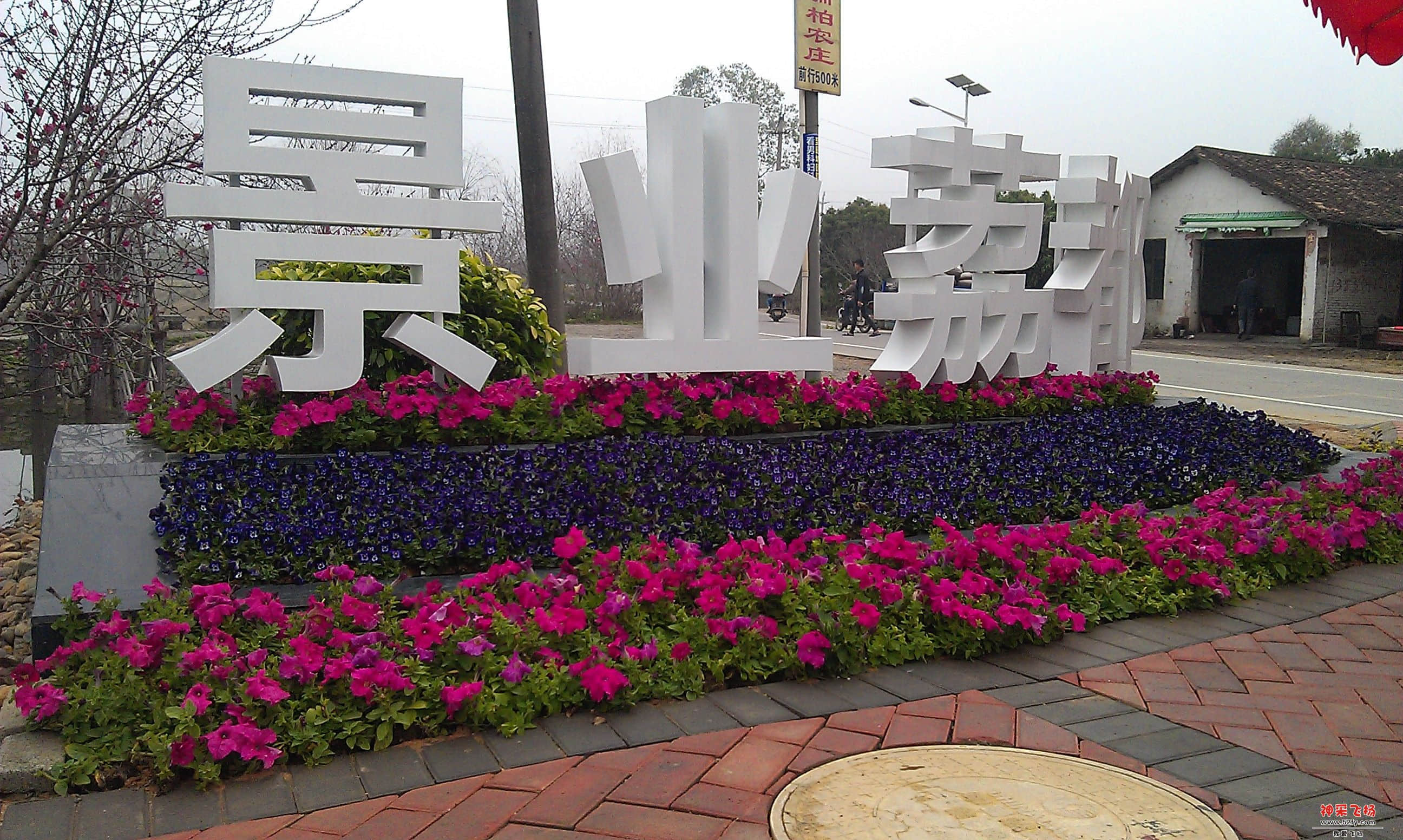 IMAG0025.jpg