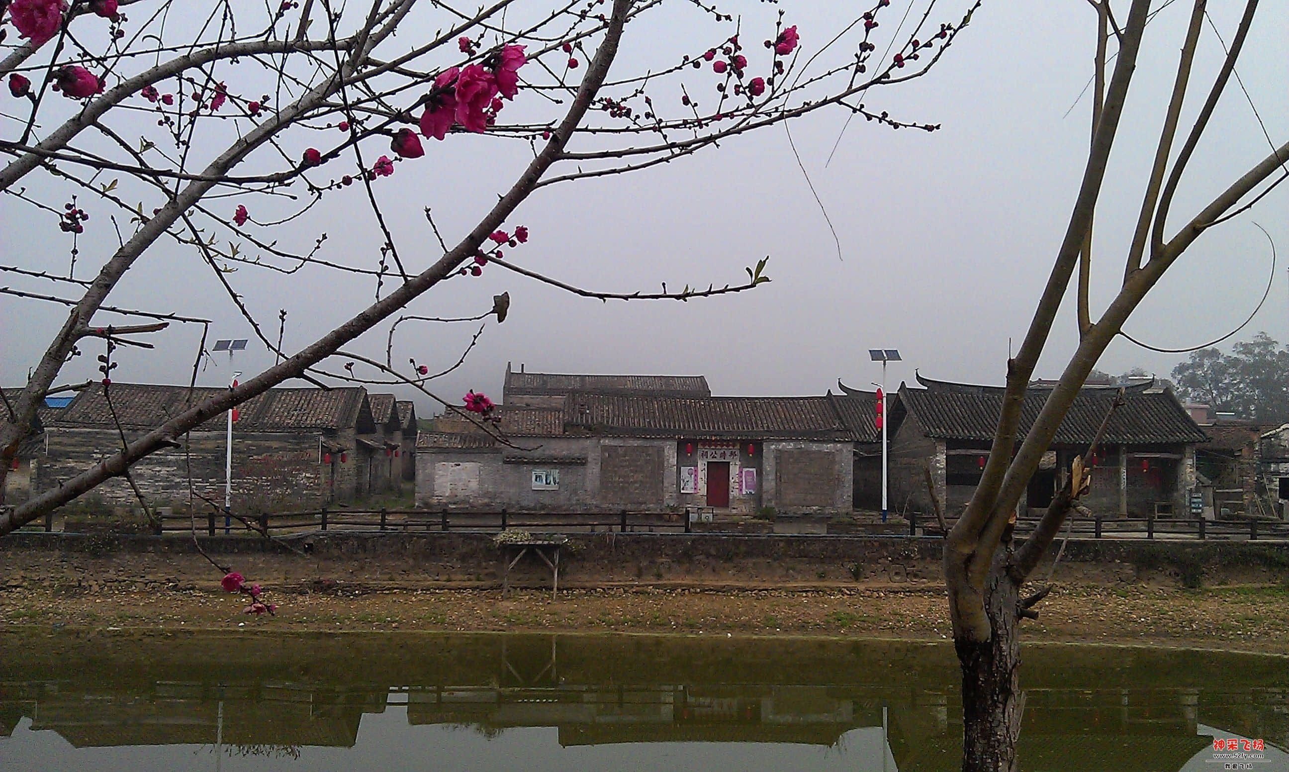 IMAG0033.jpg