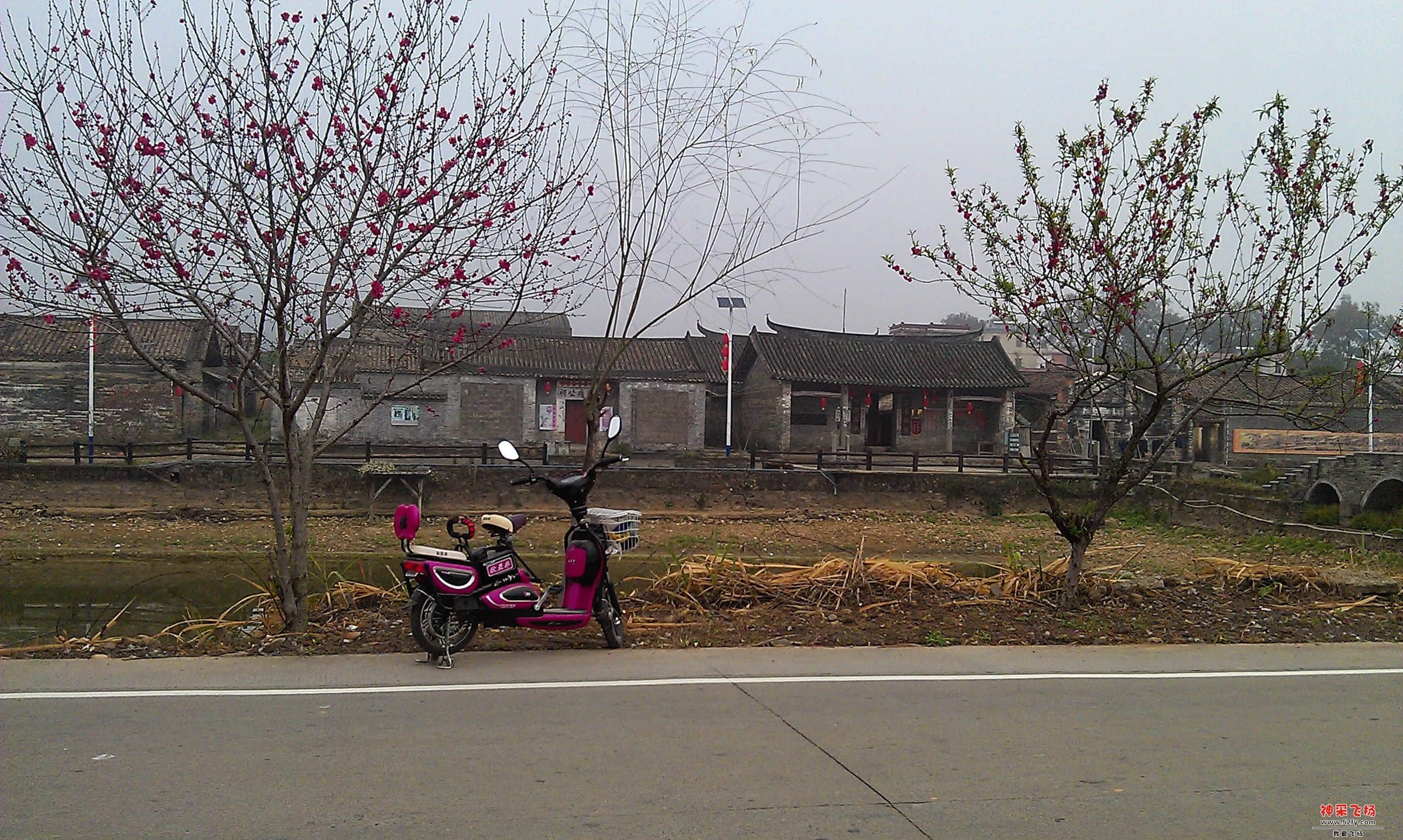 IMAG0034.jpg