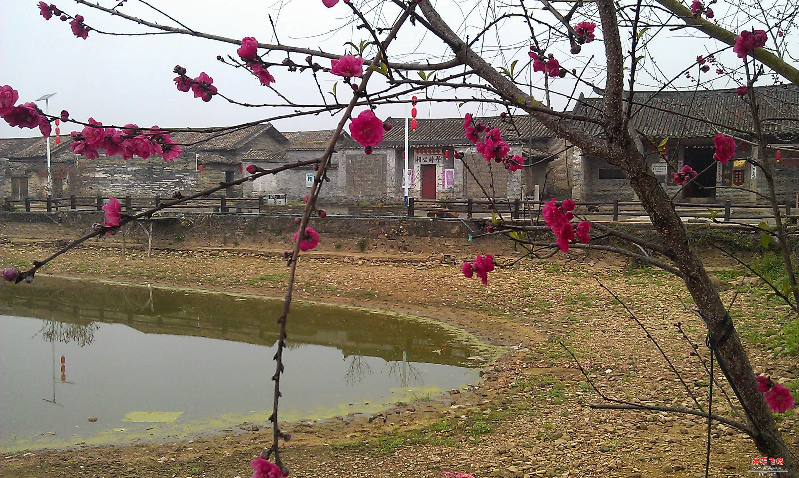 IMAG0039.jpg