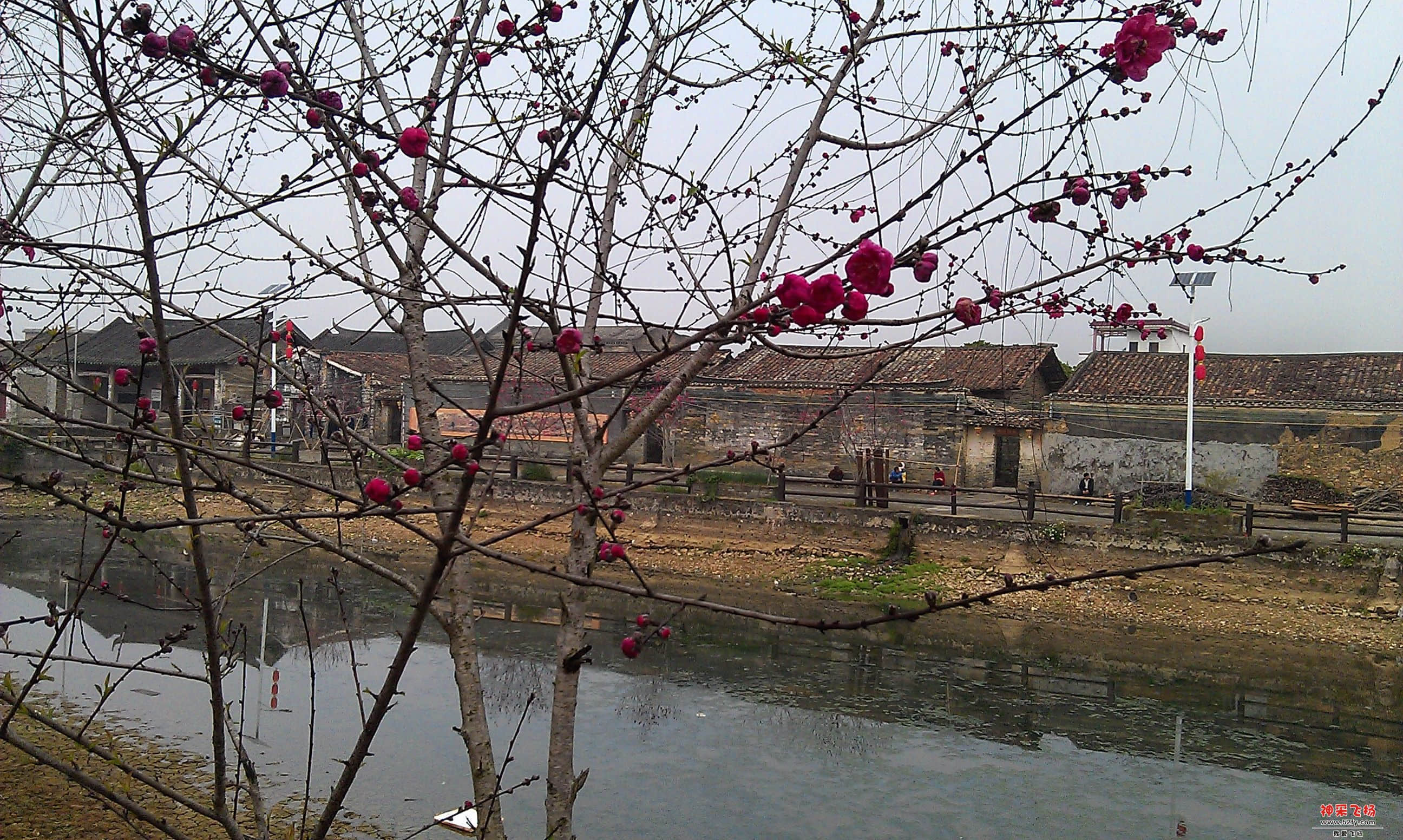 IMAG0041.jpg