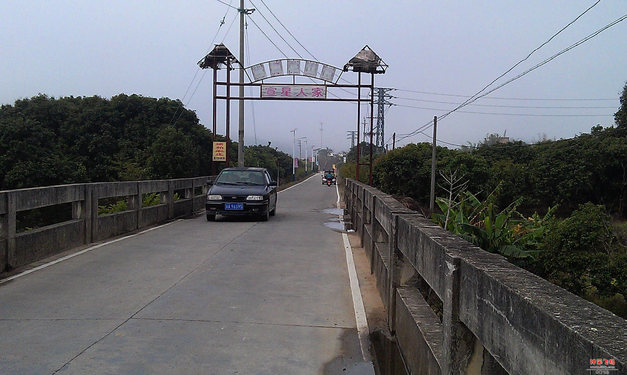 IMAG0045.jpg
