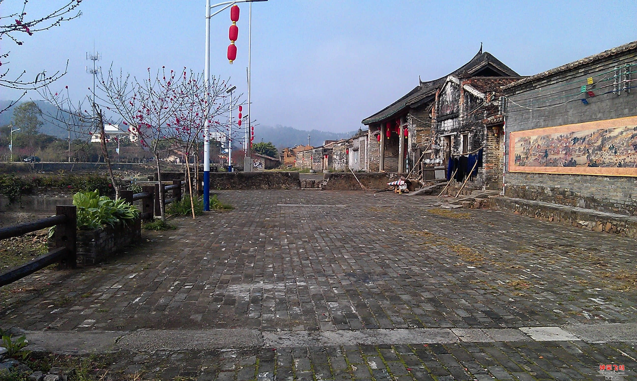 IMAG0049.jpg