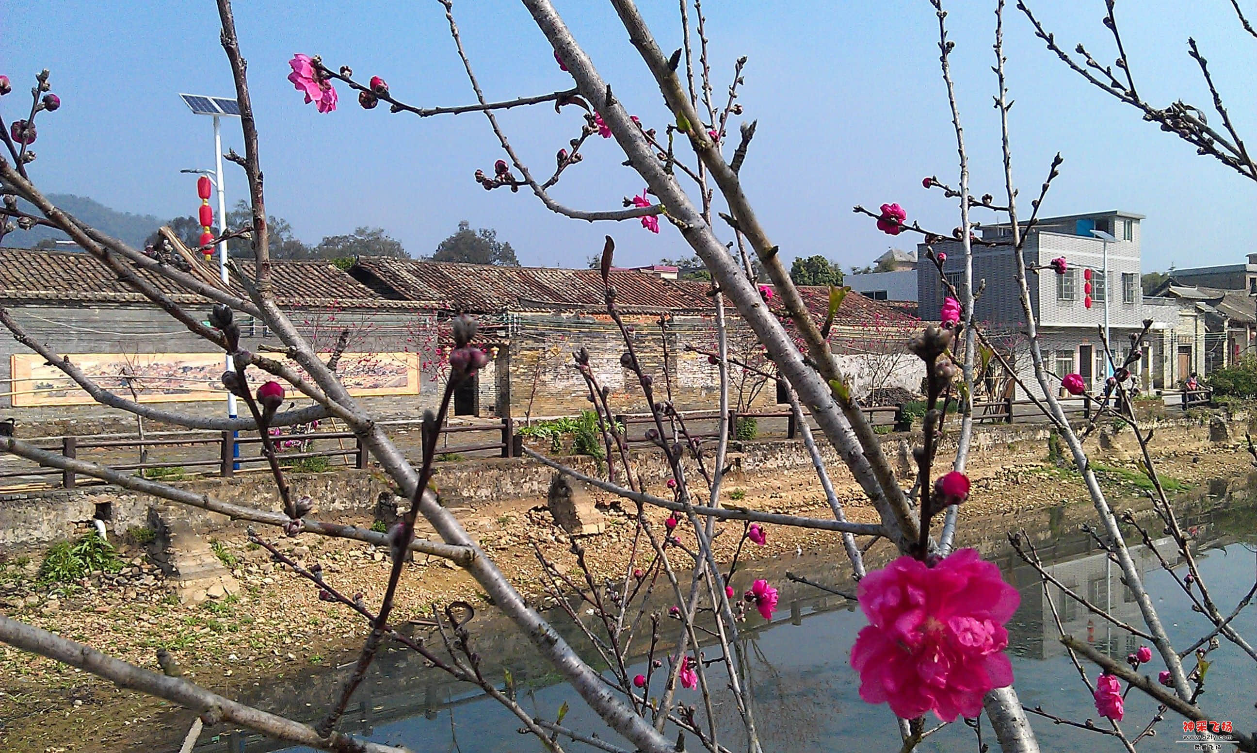 IMAG0054.jpg