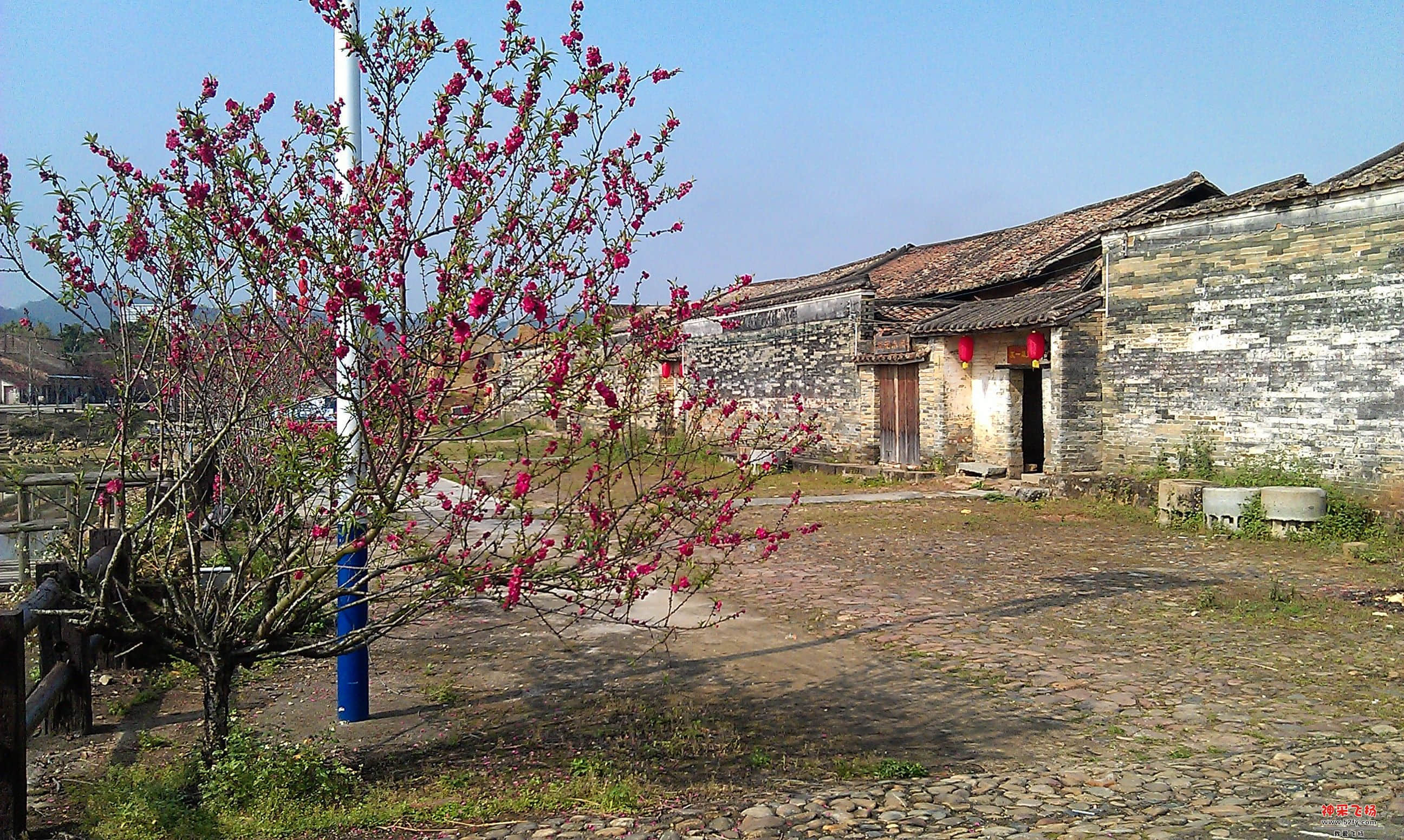IMAG0055.jpg