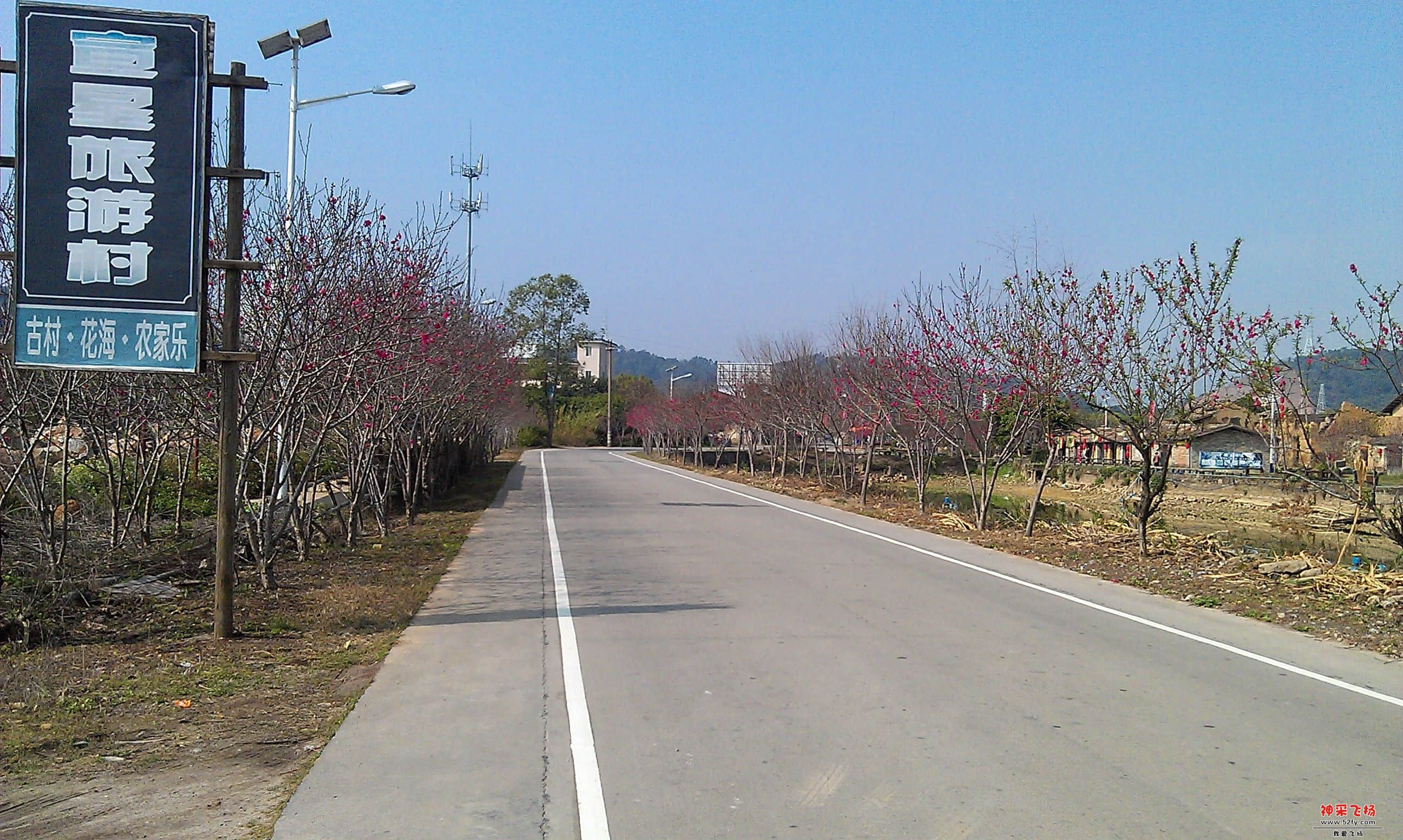IMAG0068.jpg