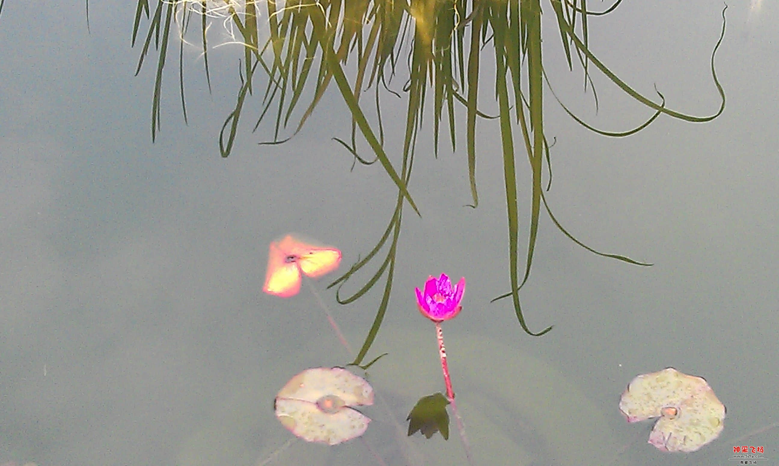 IMAG0117.jpg
