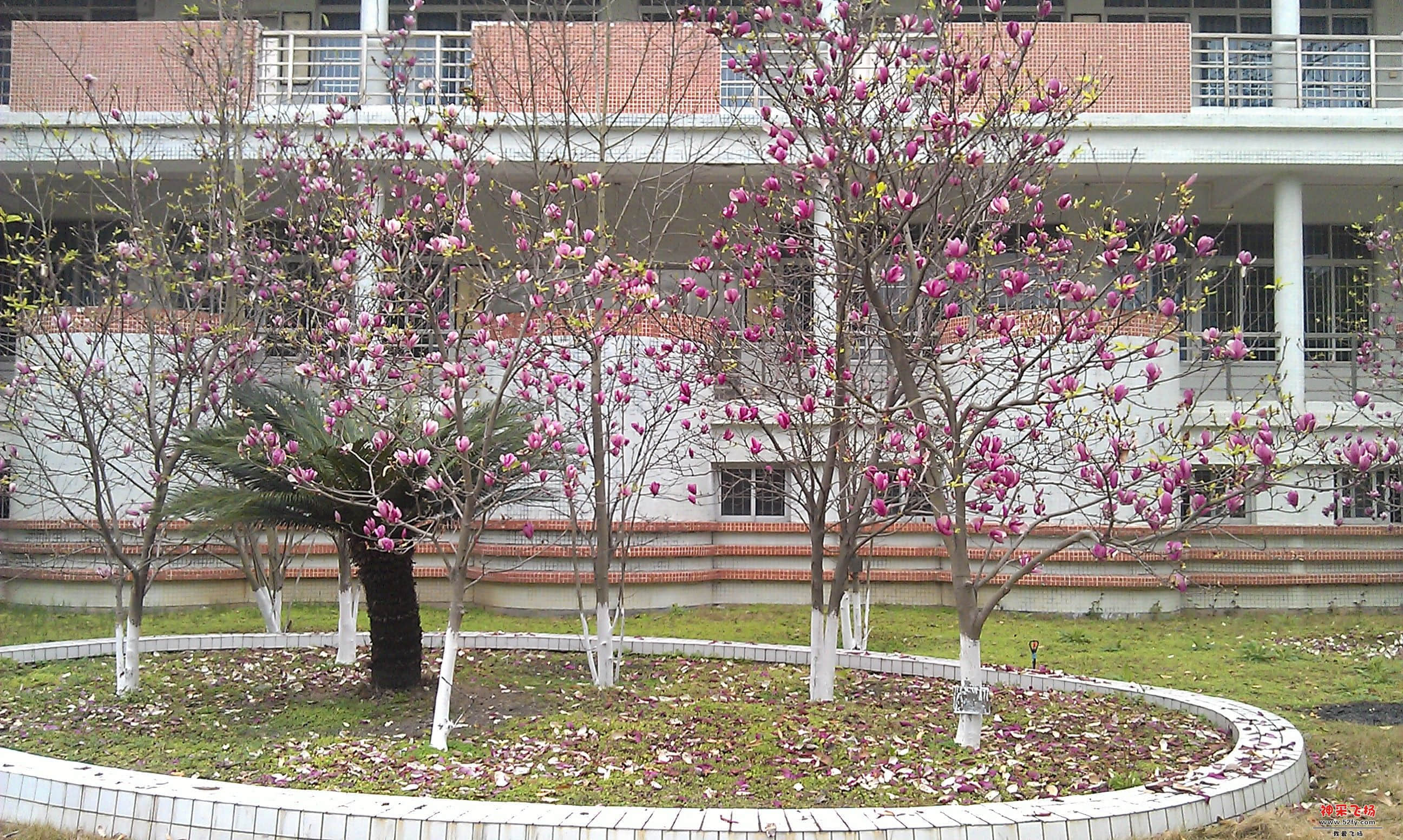 IMAG0143.jpg