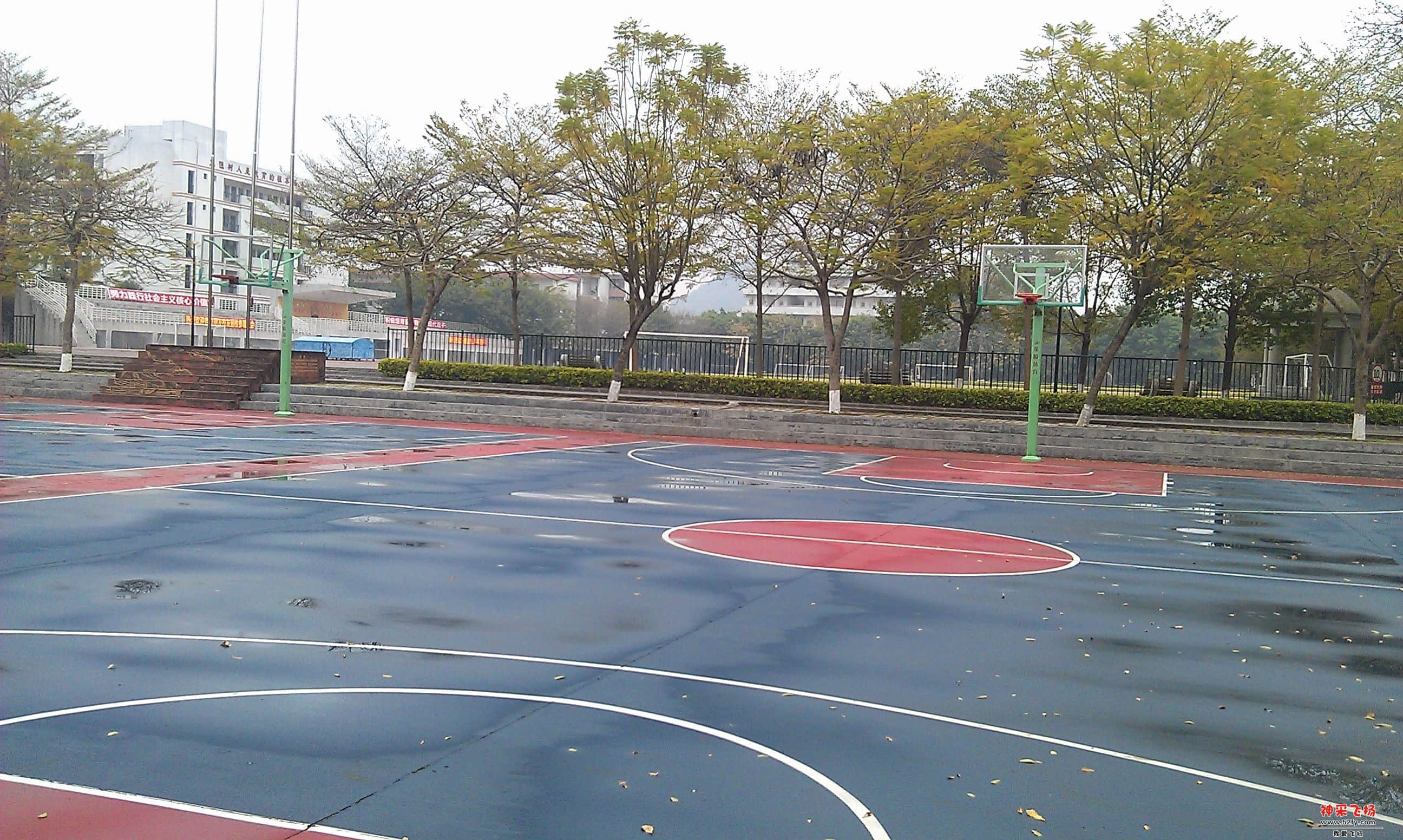 IMAG0153.jpg