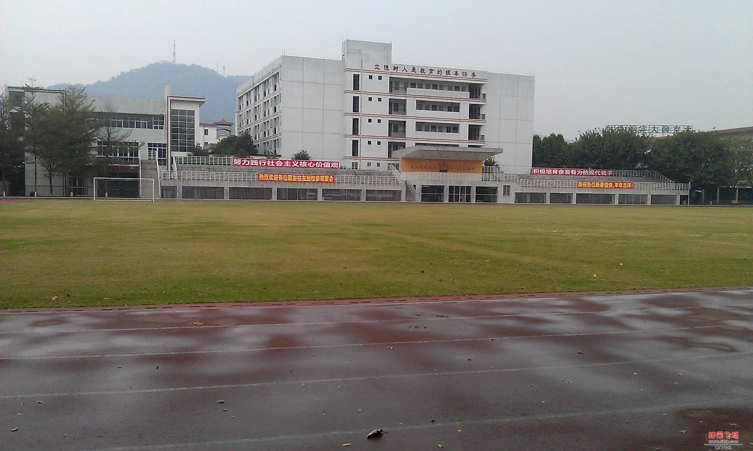 IMAG0155.jpg