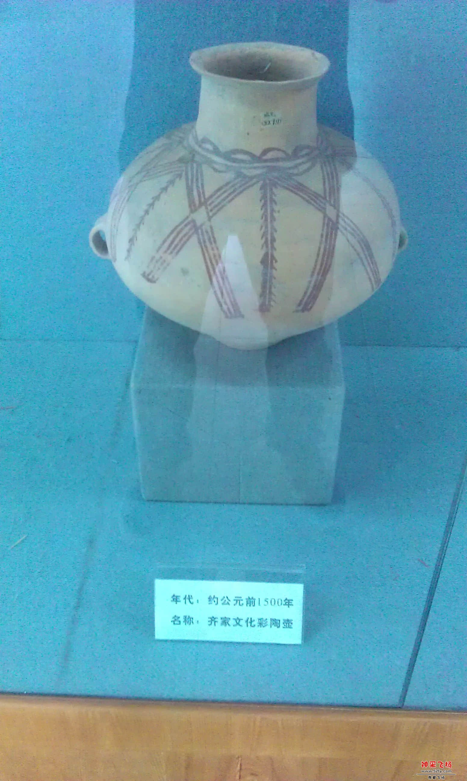 IMAG0185.jpg