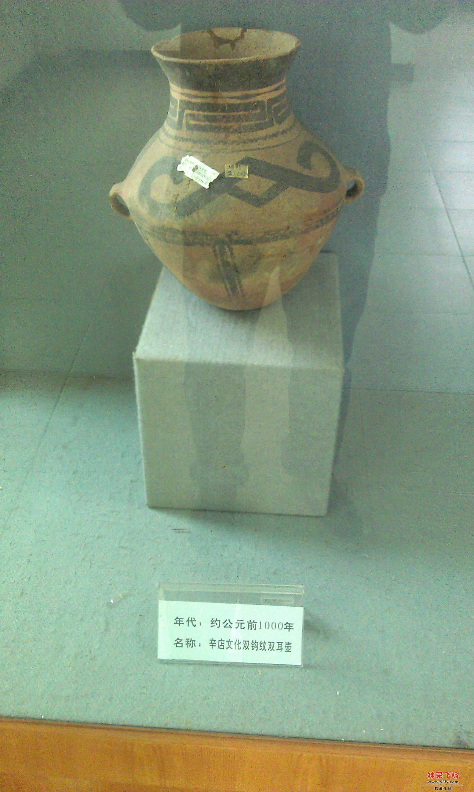 IMAG0187.jpg