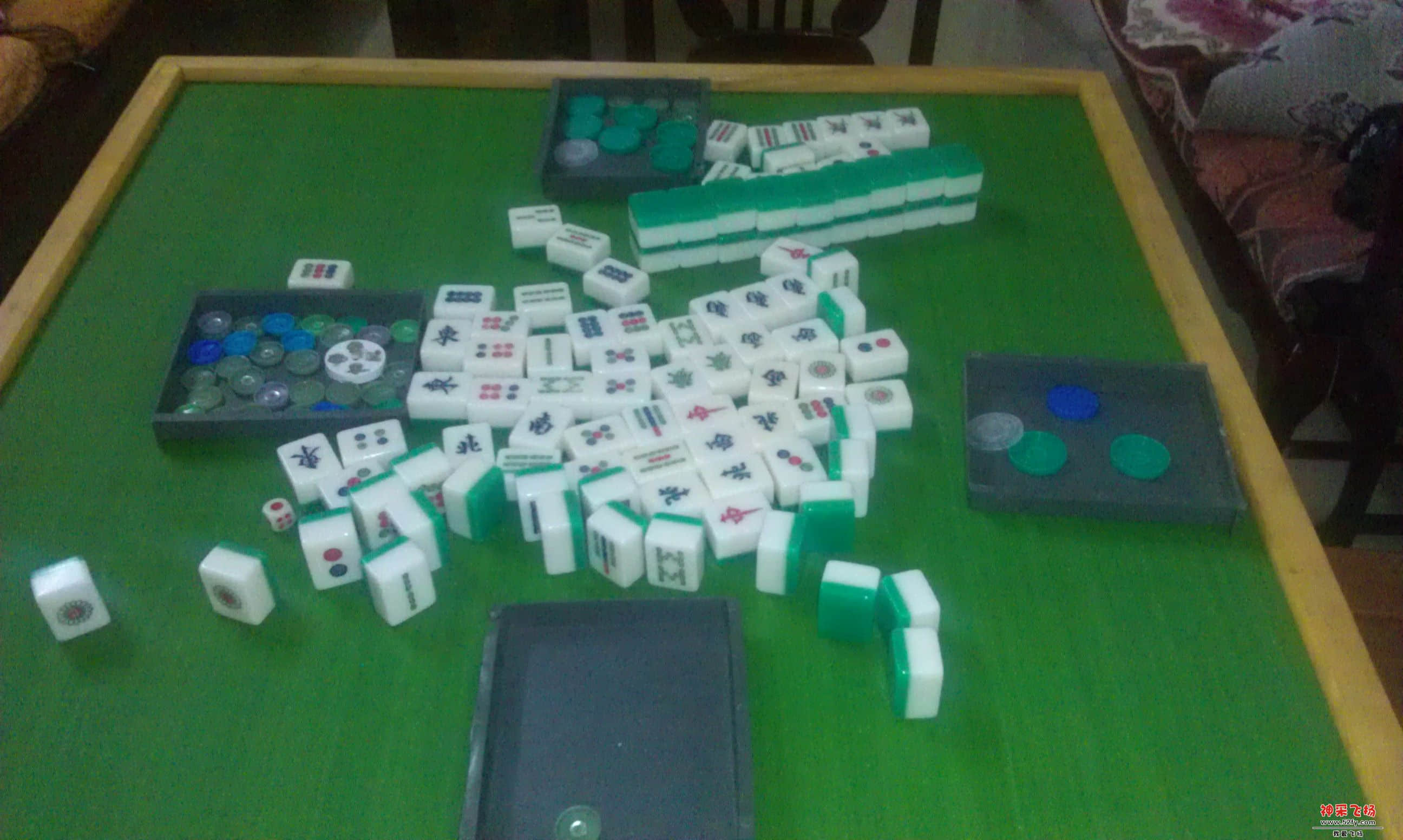 IMAG0205.jpg