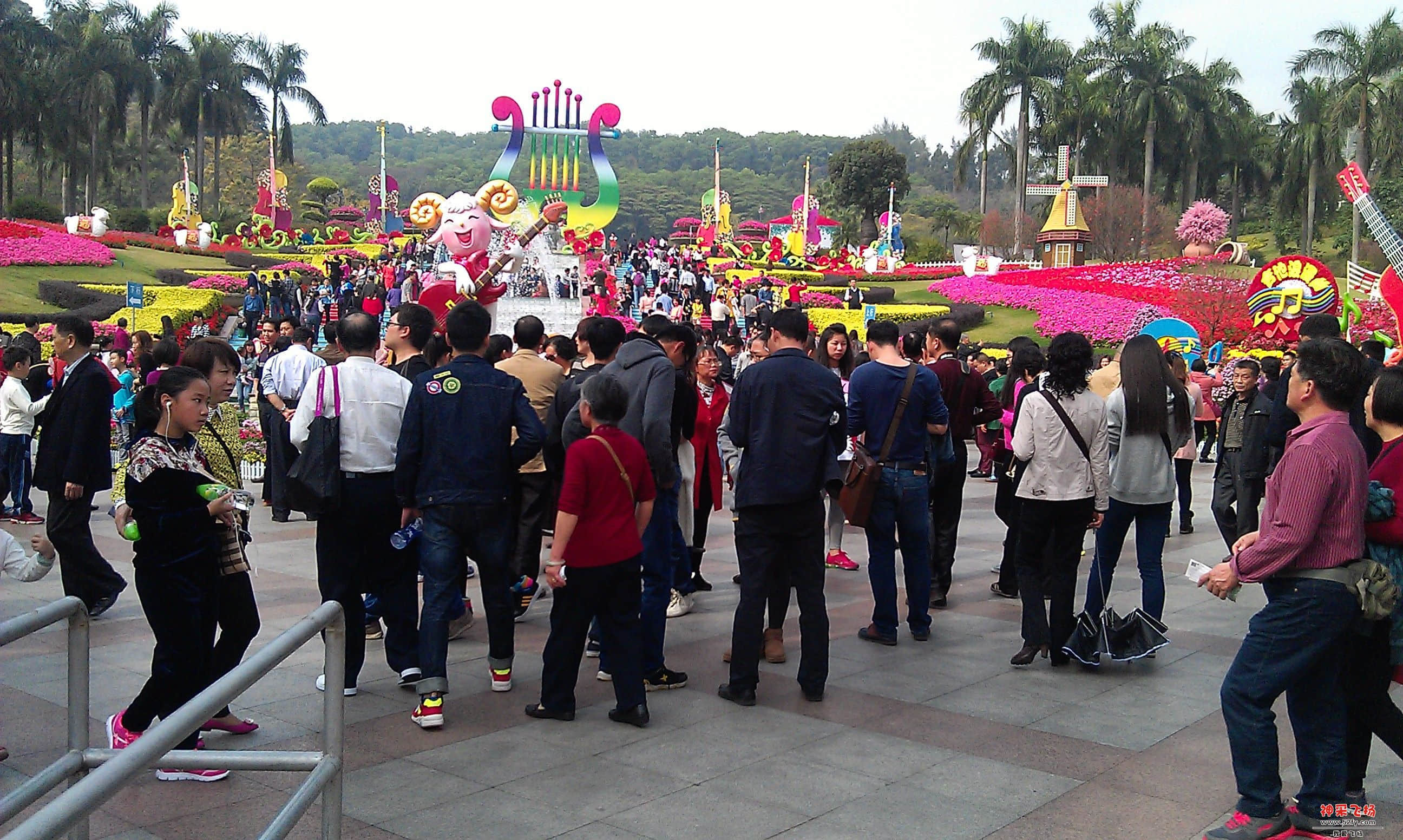 IMAG0042.jpg
