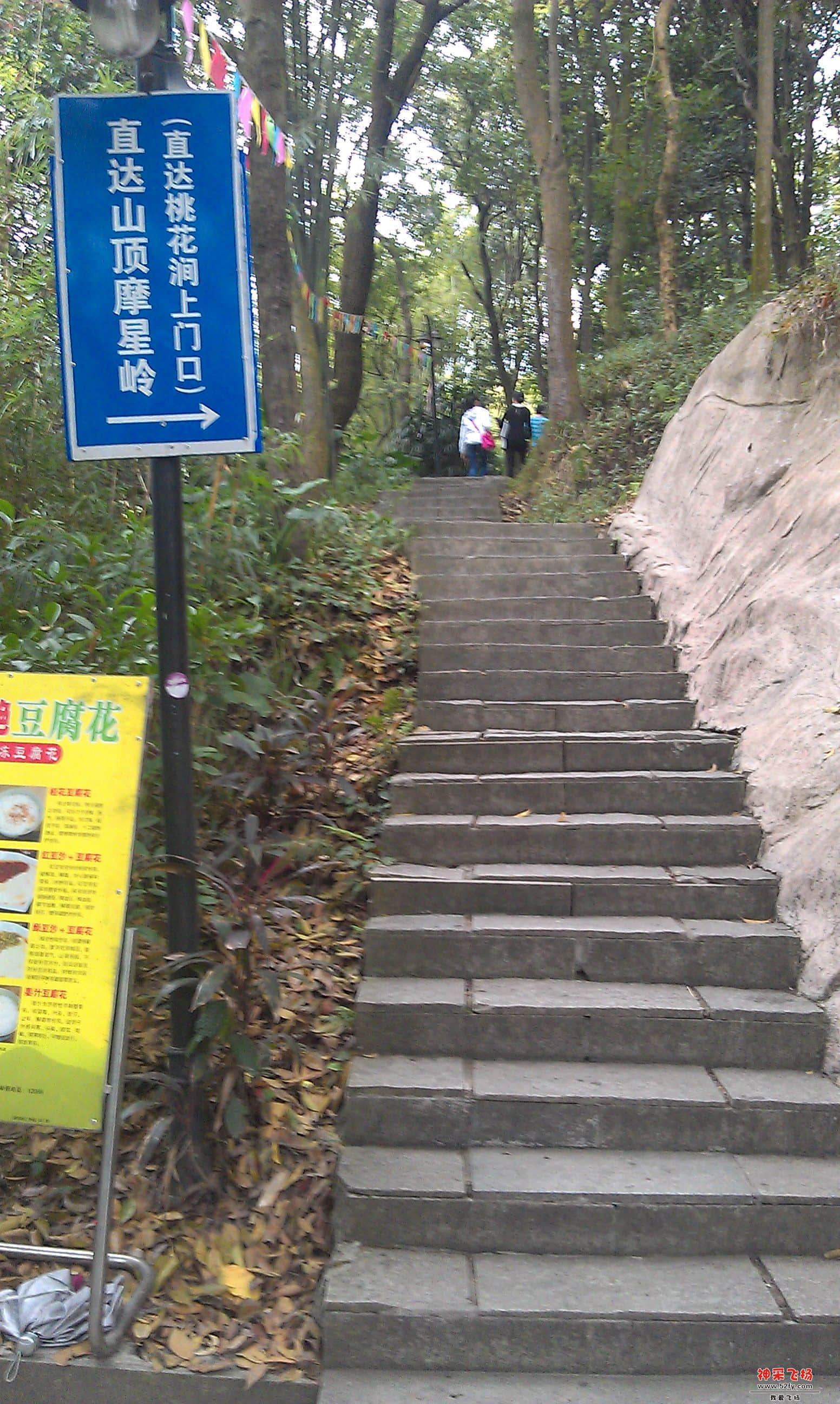 IMAG0229.jpg