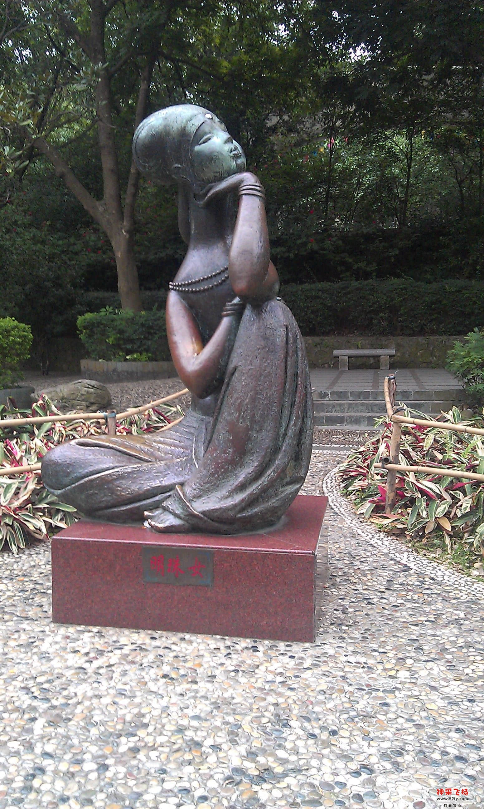 IMAG0240.jpg