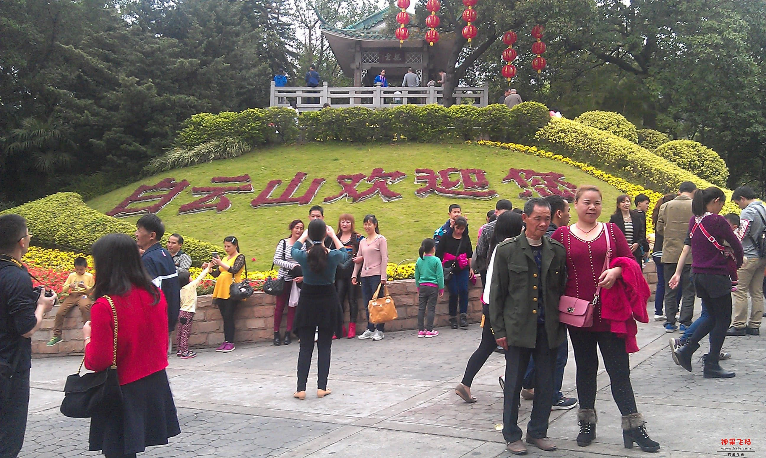 IMAG0024.jpg