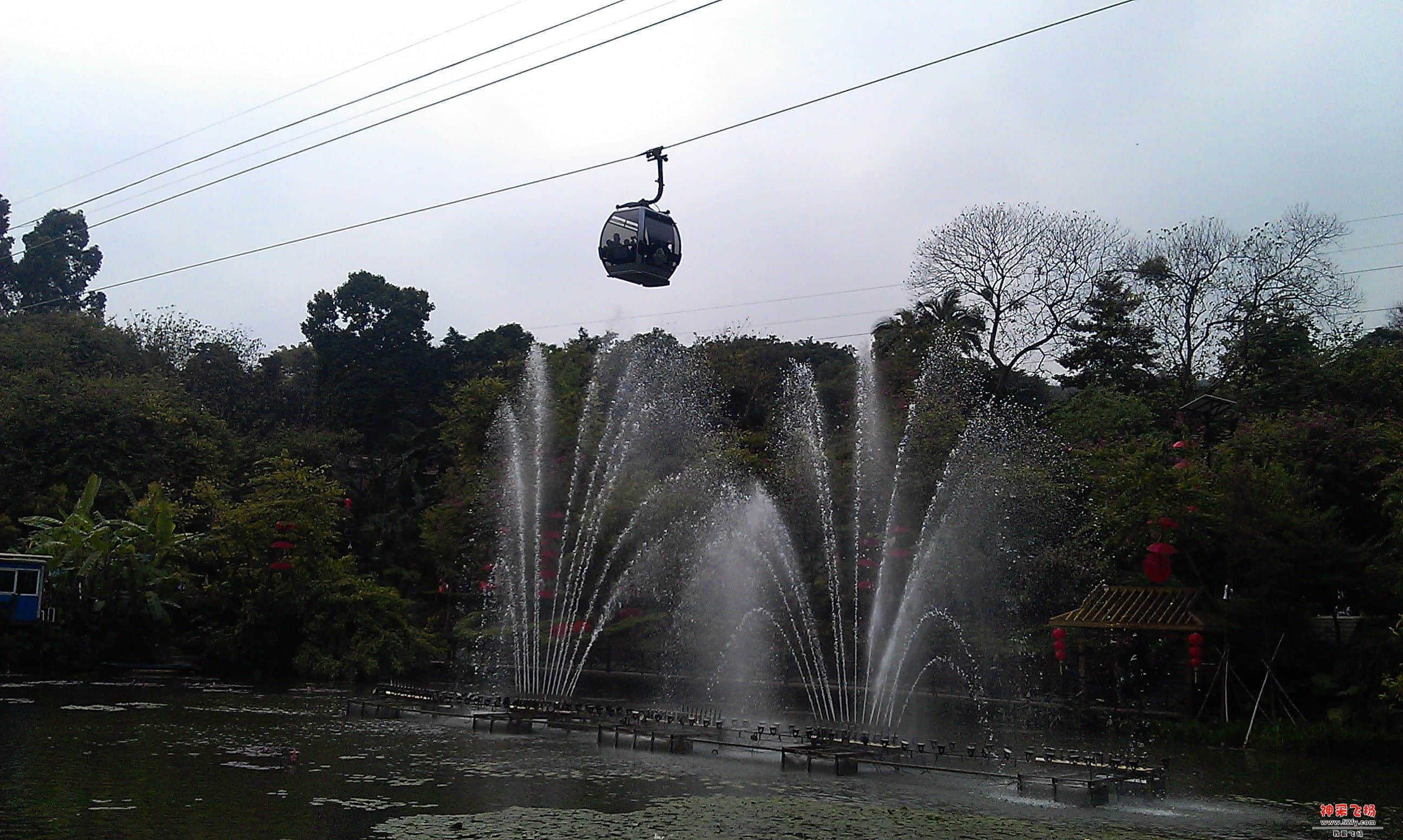IMAG0038.jpg