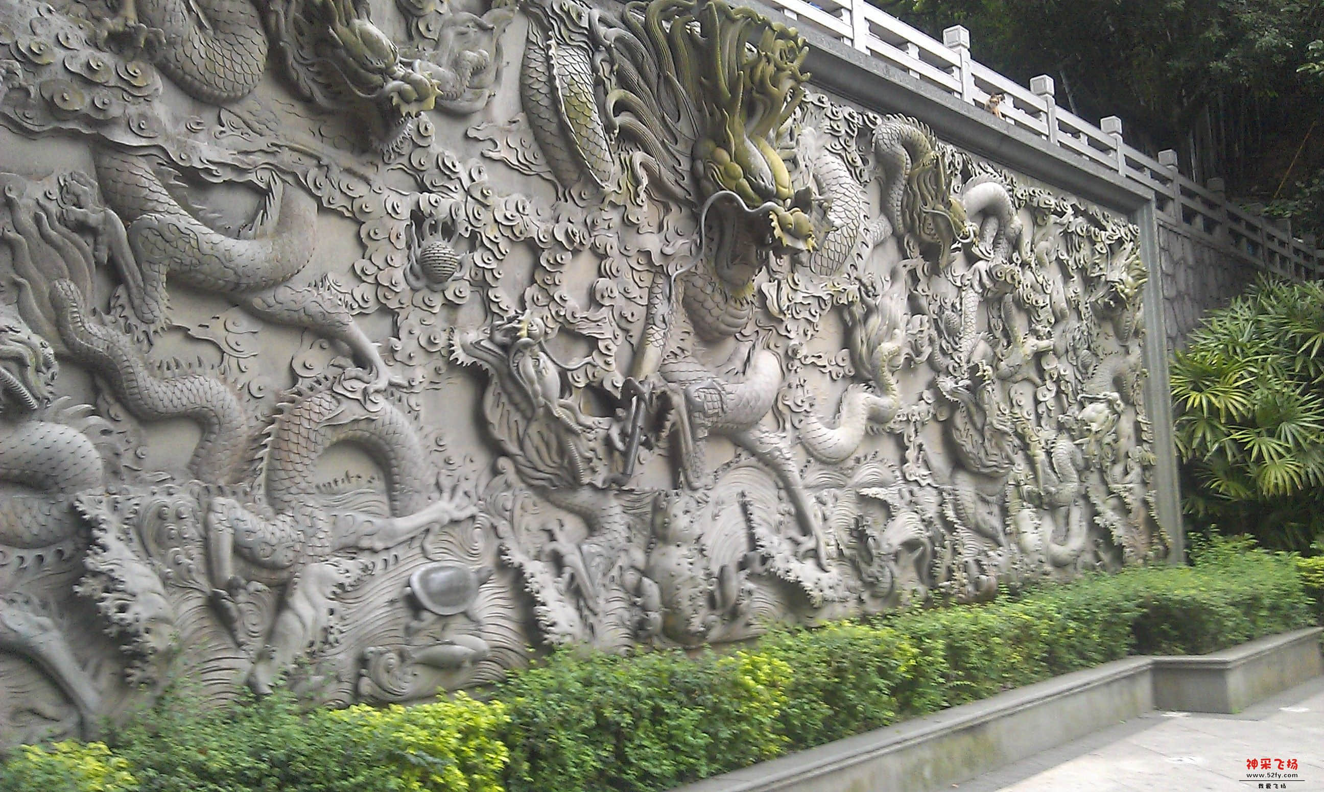 IMAG0005.jpg