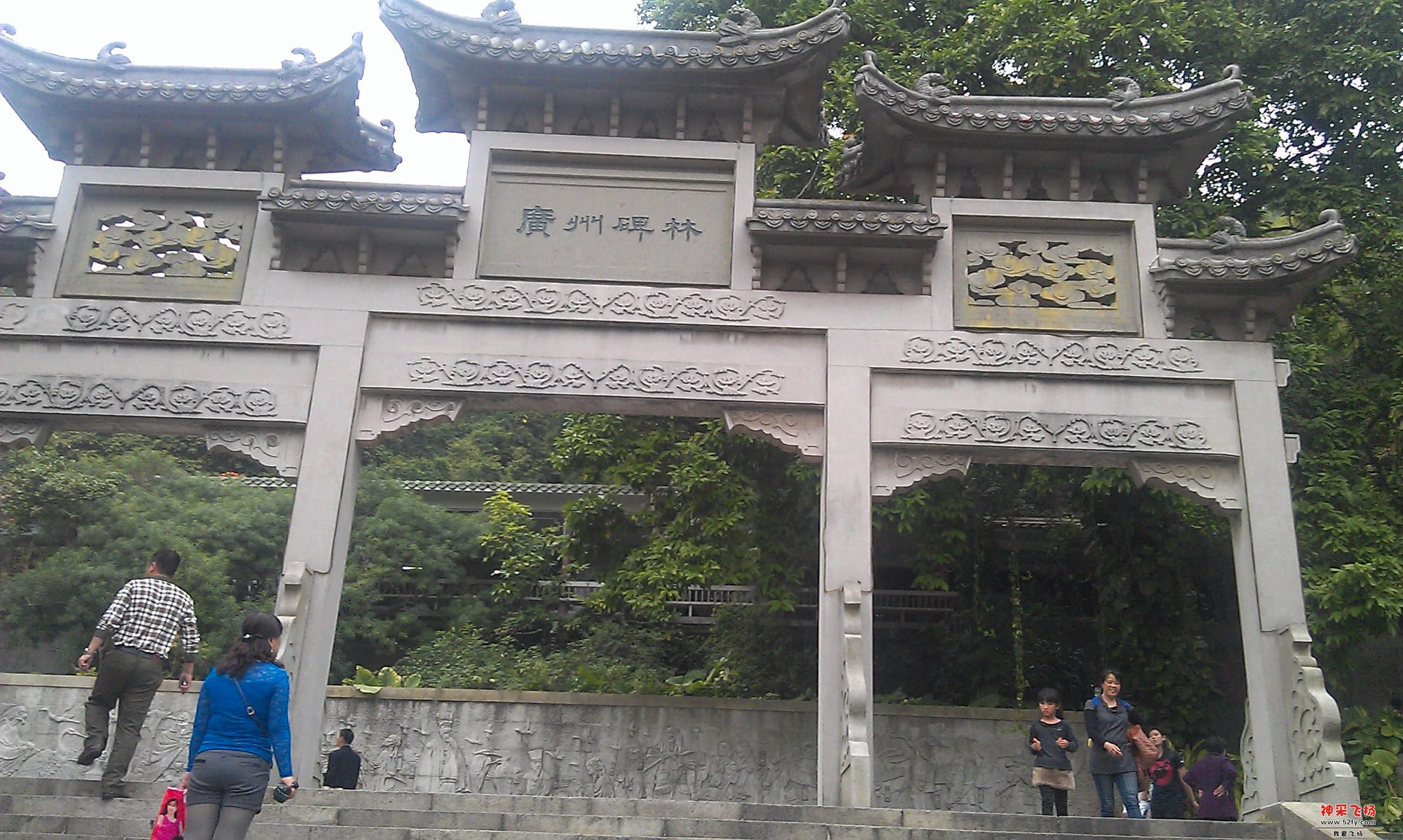 IMAG0008.jpg