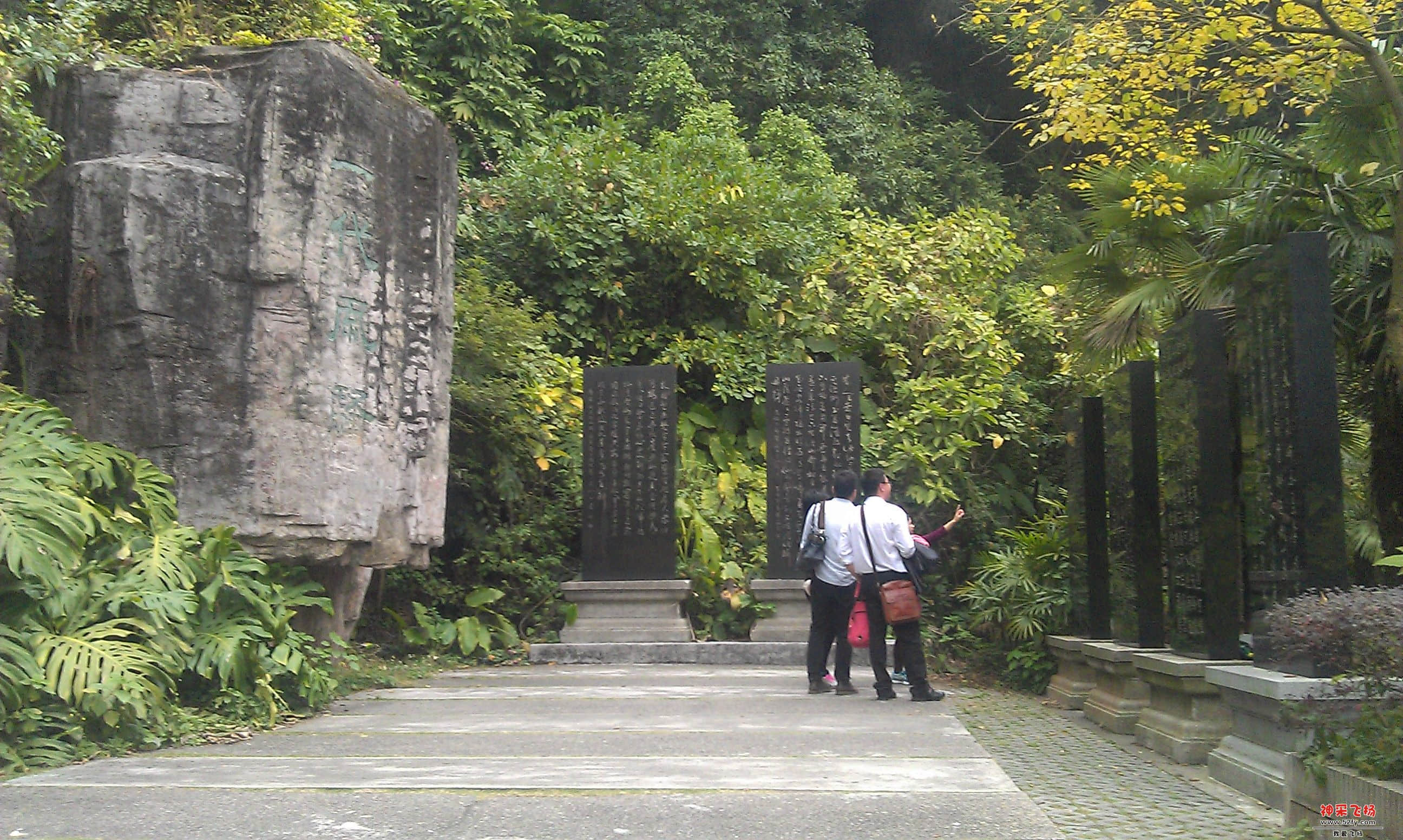 IMAG0009.jpg