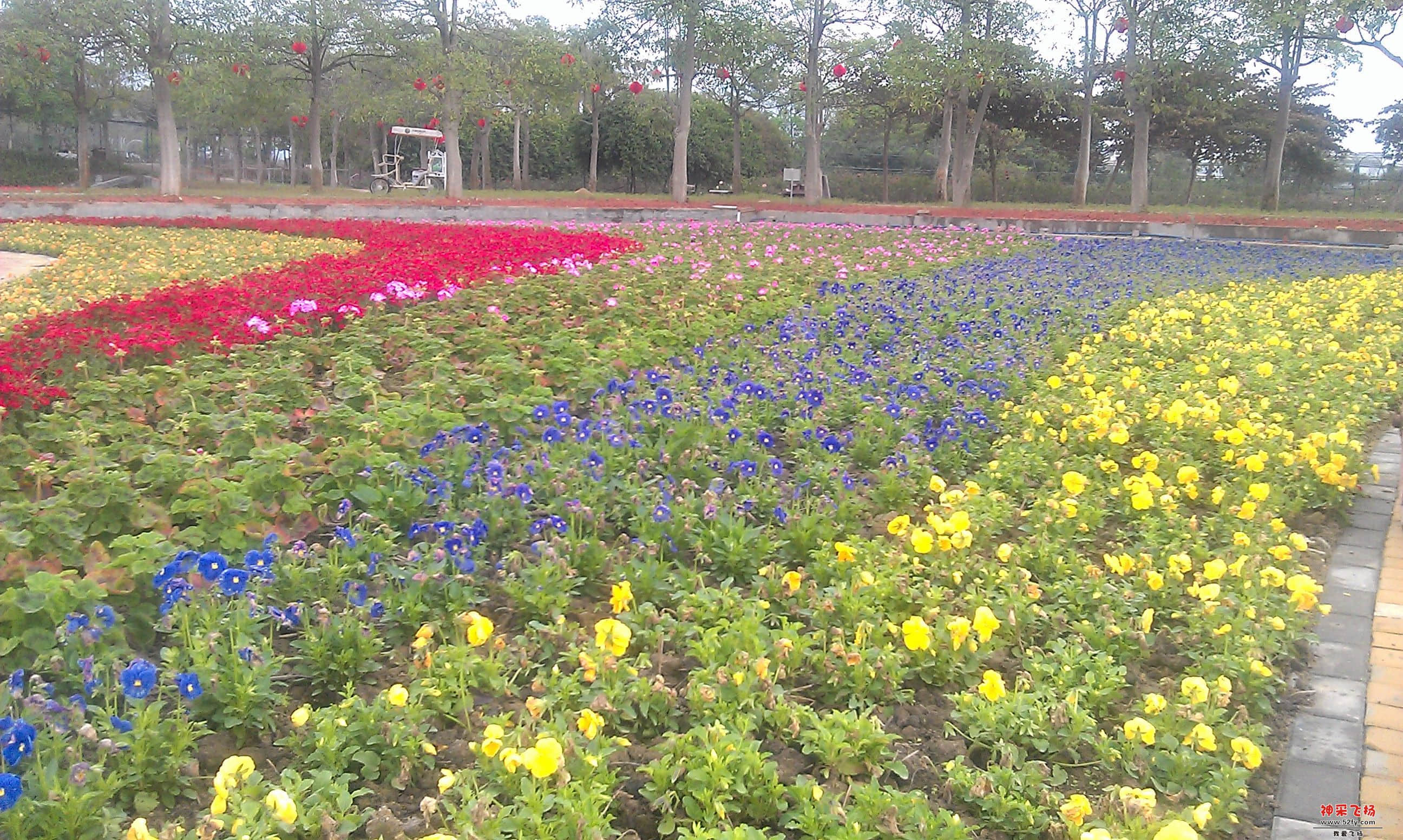 IMAG0051.jpg
