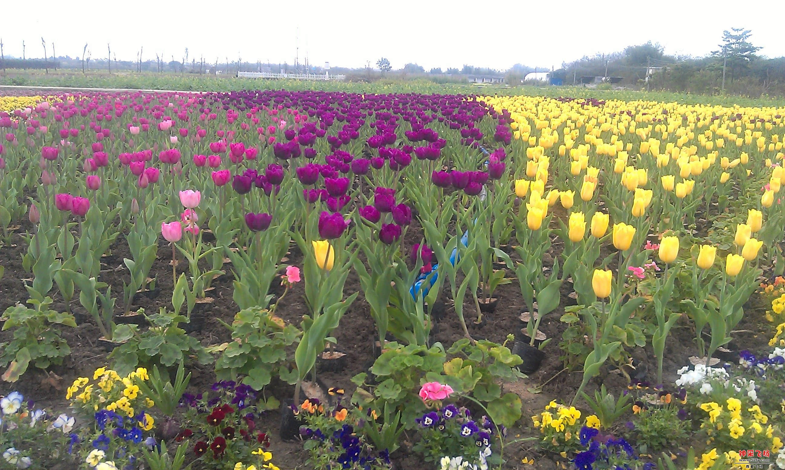 IMAG0054.jpg