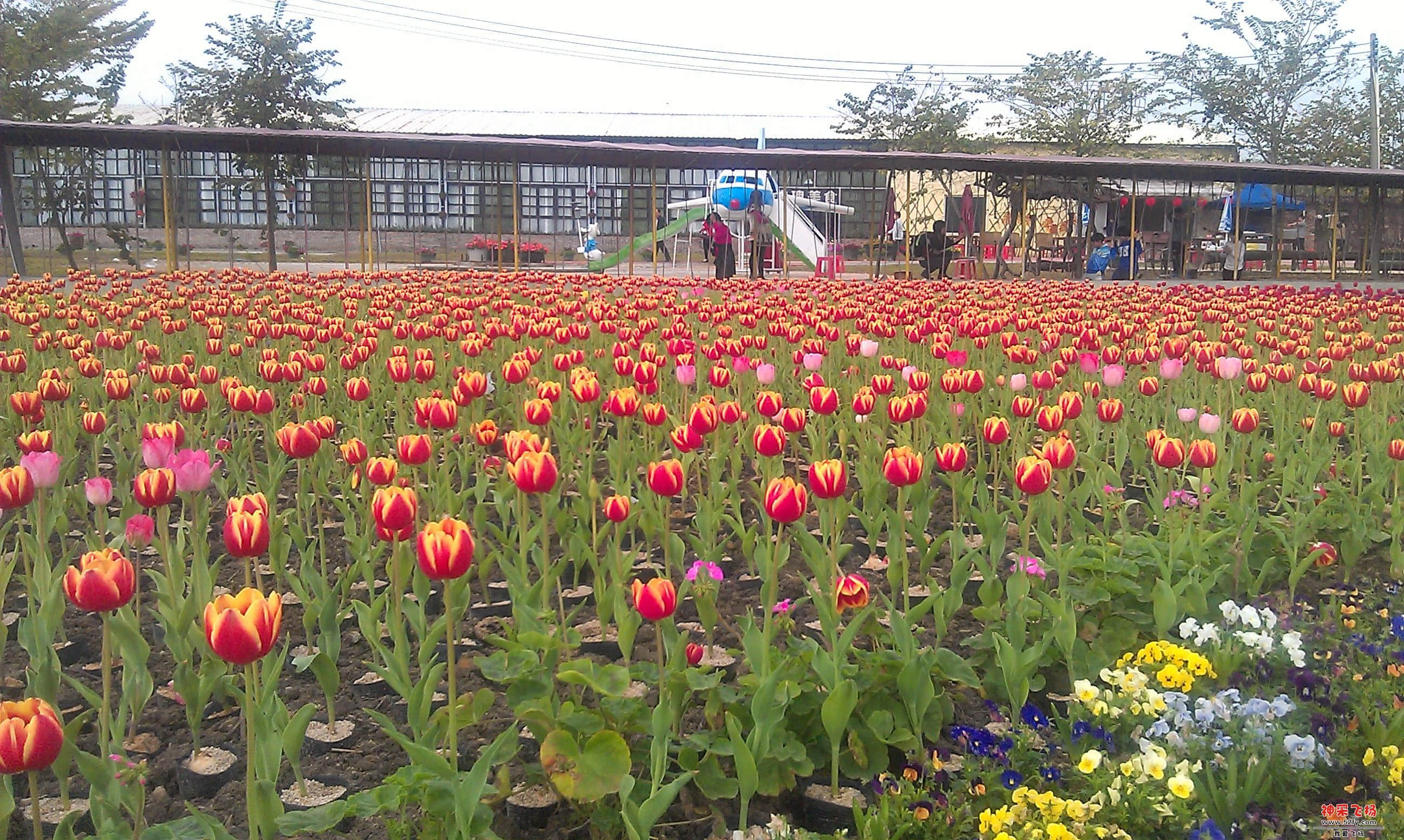 IMAG0055.jpg