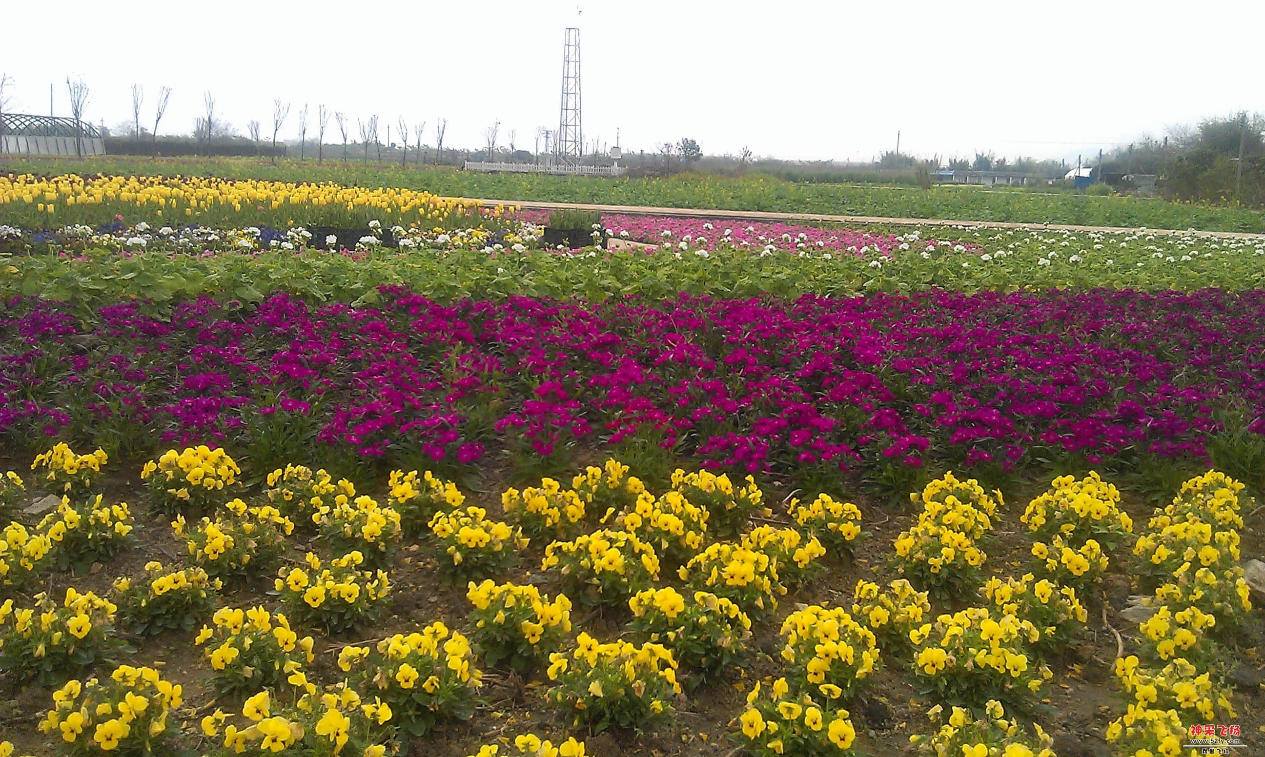 IMAG0056.jpg
