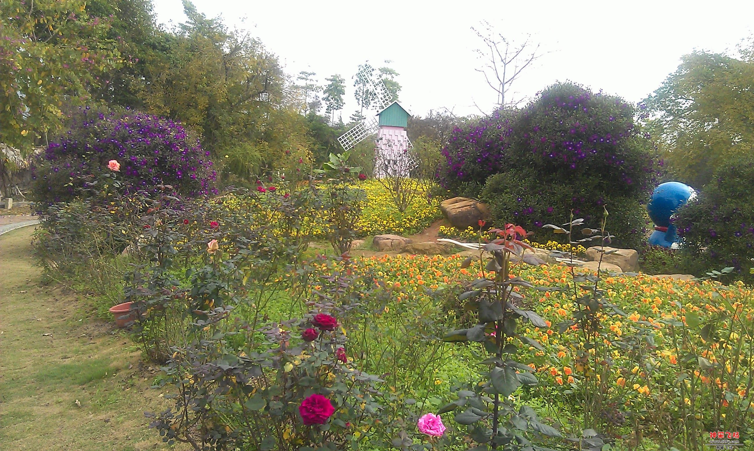 IMAG0073.jpg