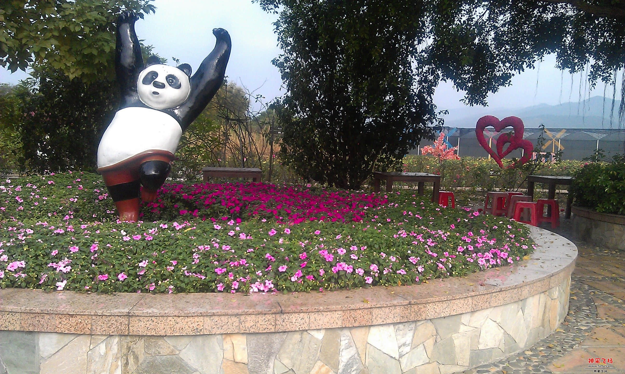IMAG0086.jpg