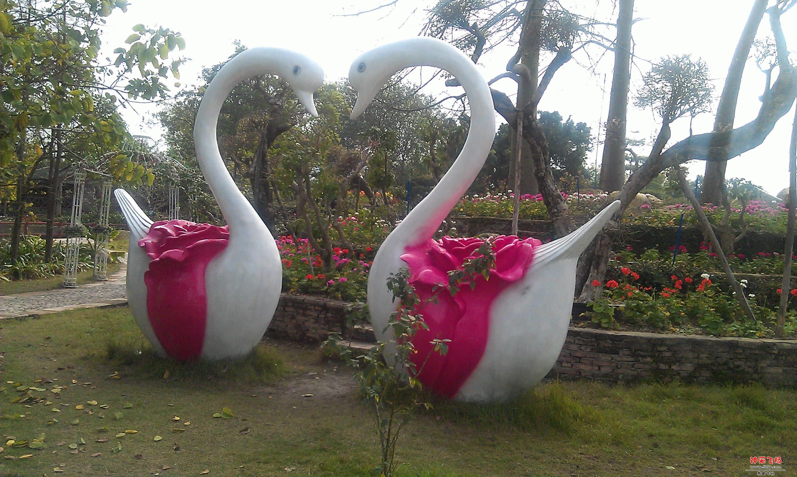 IMAG0088.jpg
