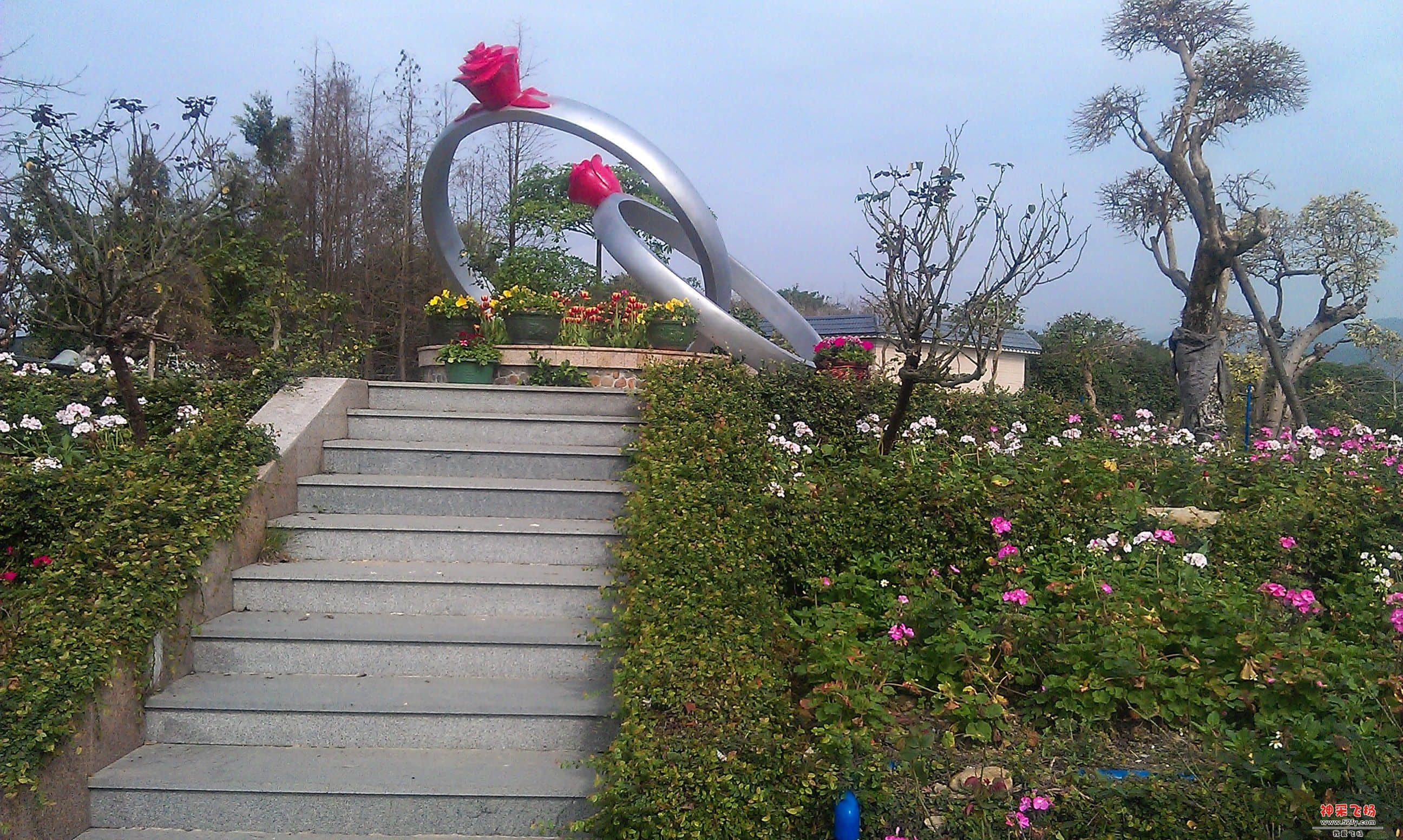 IMAG0091.jpg