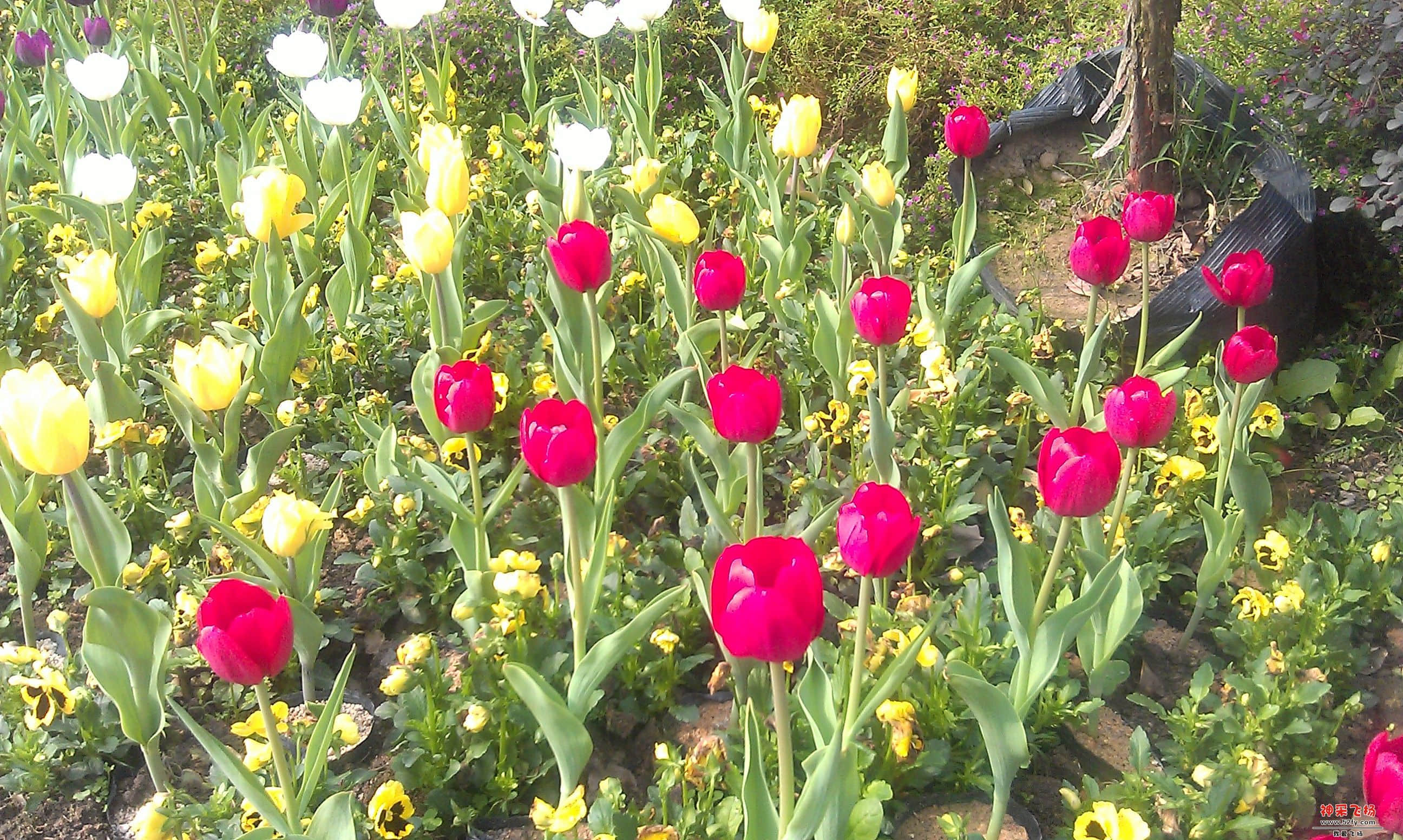 IMAG0094.jpg