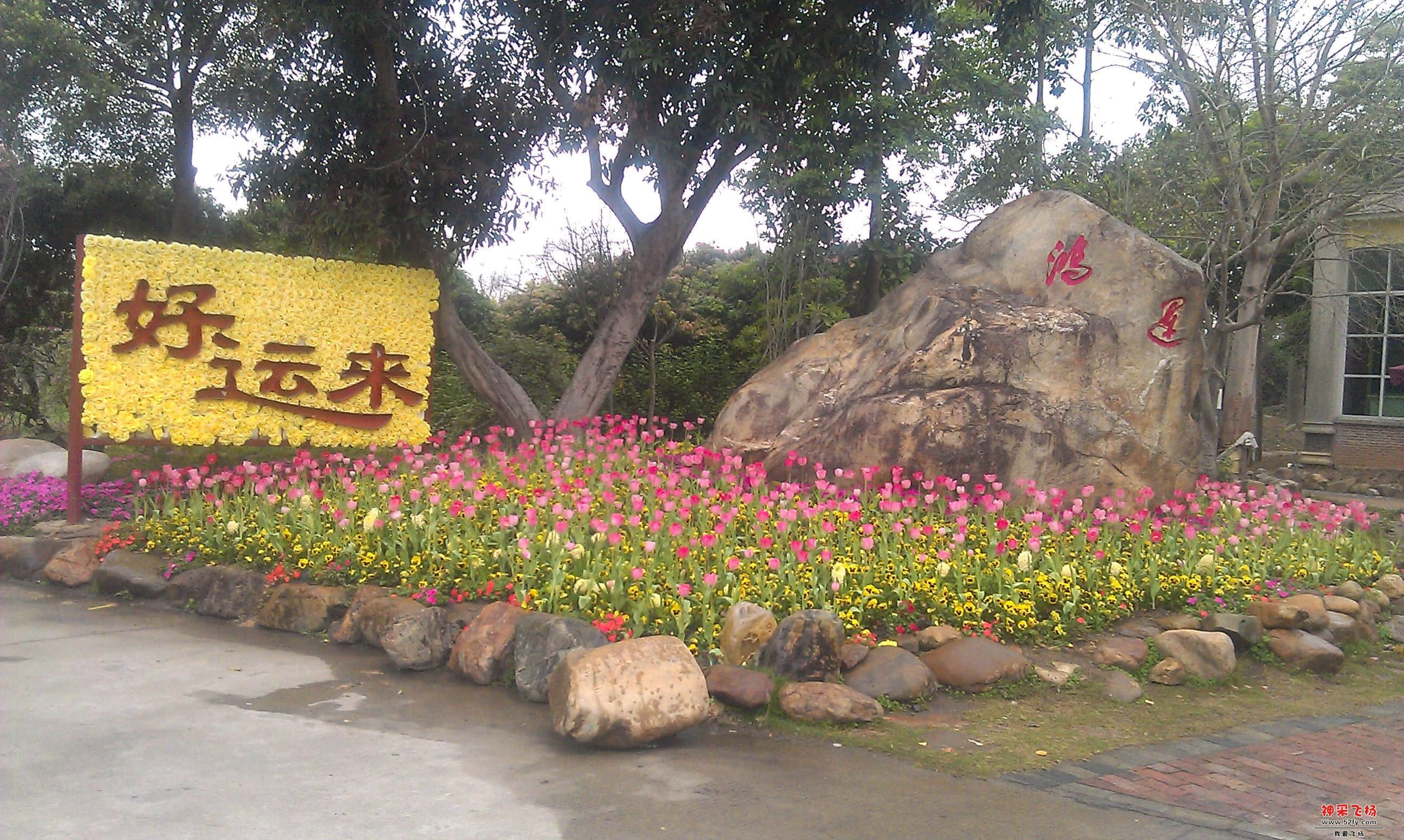 IMAG0019.jpg