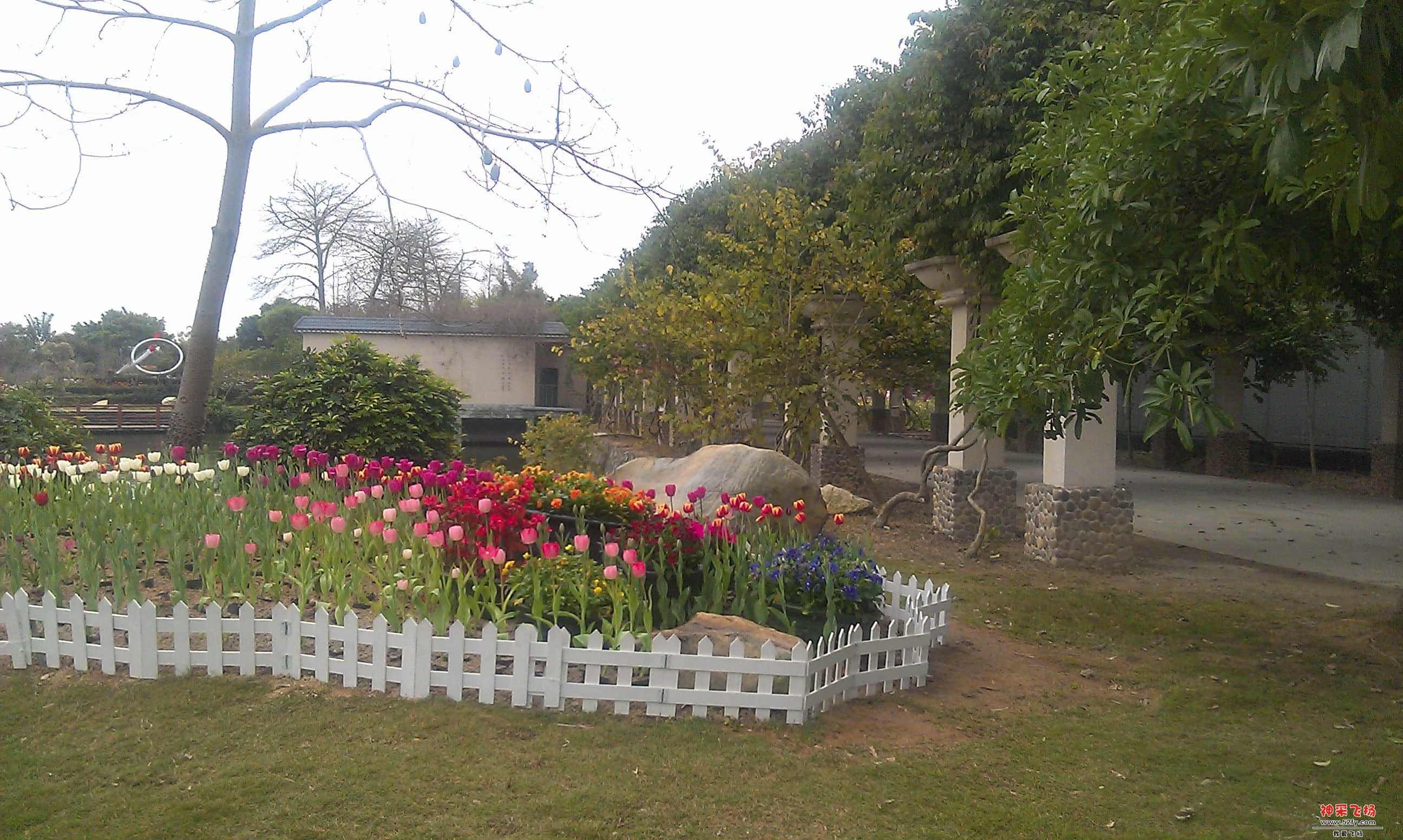 IMAG0032.jpg