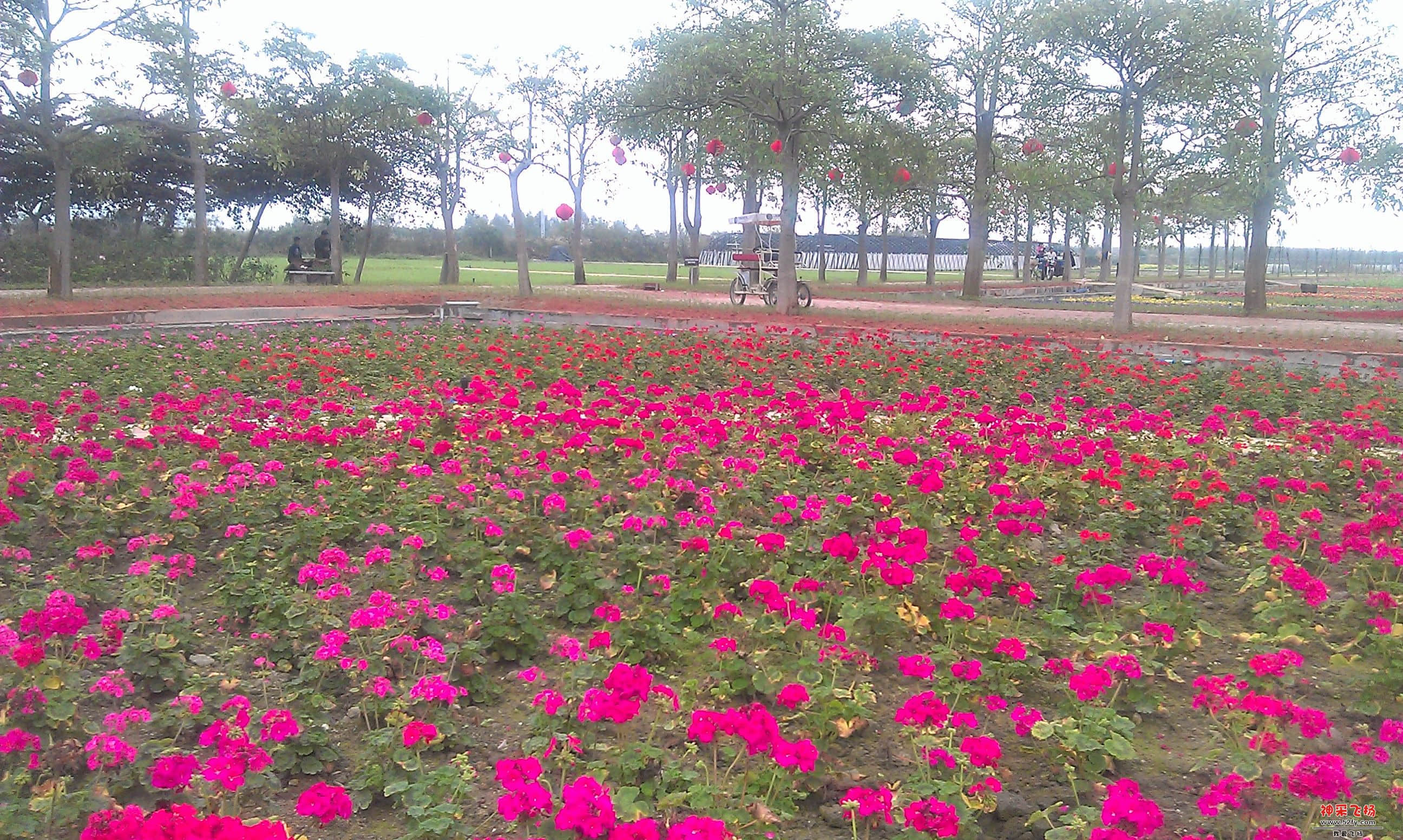 IMAG0047.jpg