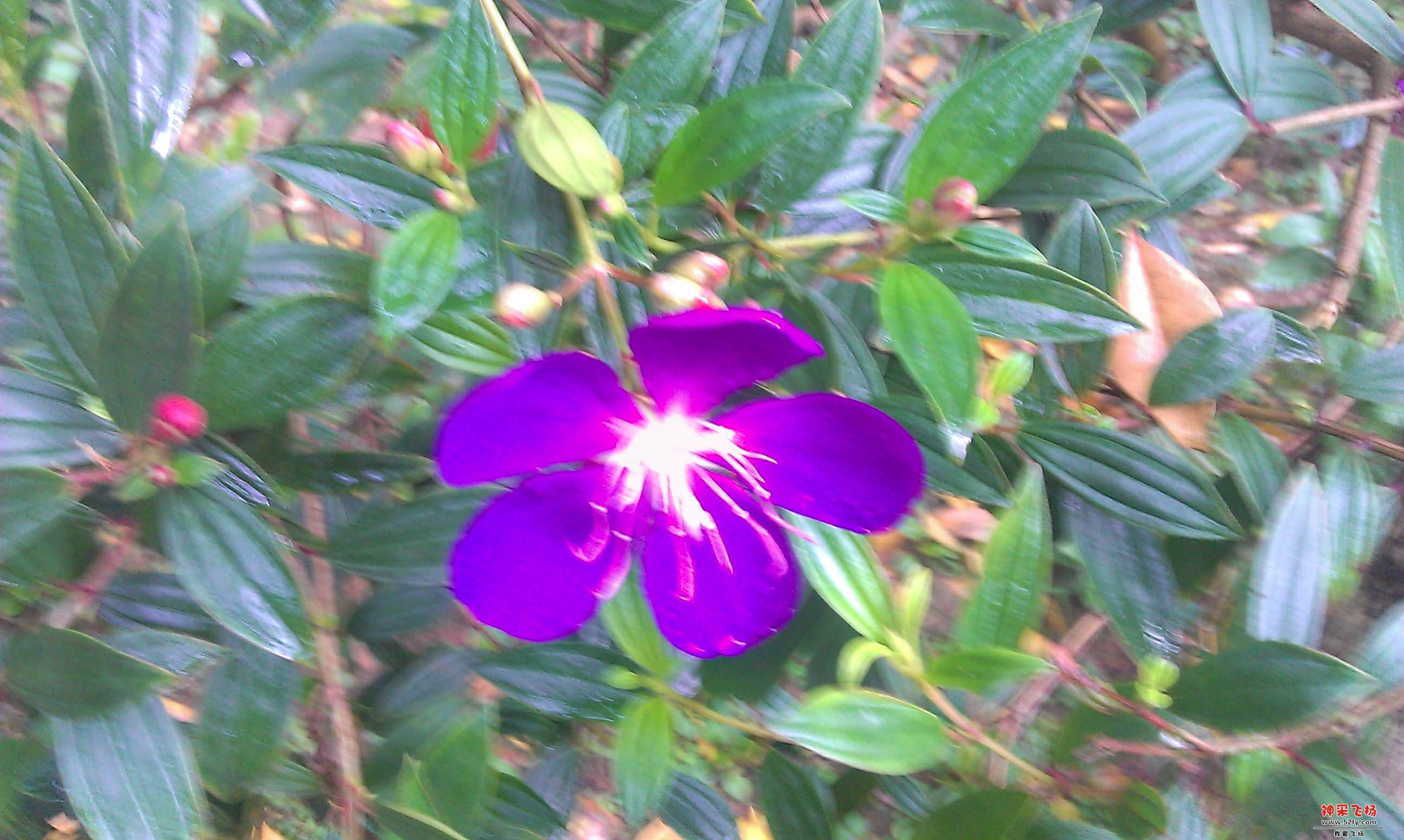 IMAG0001.jpg